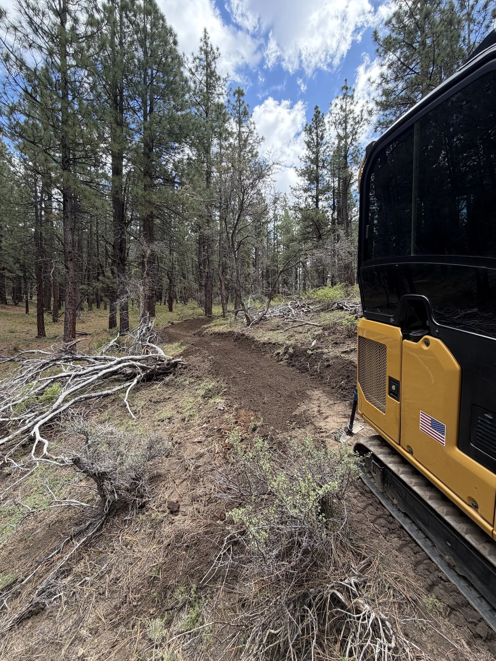  A yellow mini excavator parked next to a newly carved dirt trail in a pine forest. 