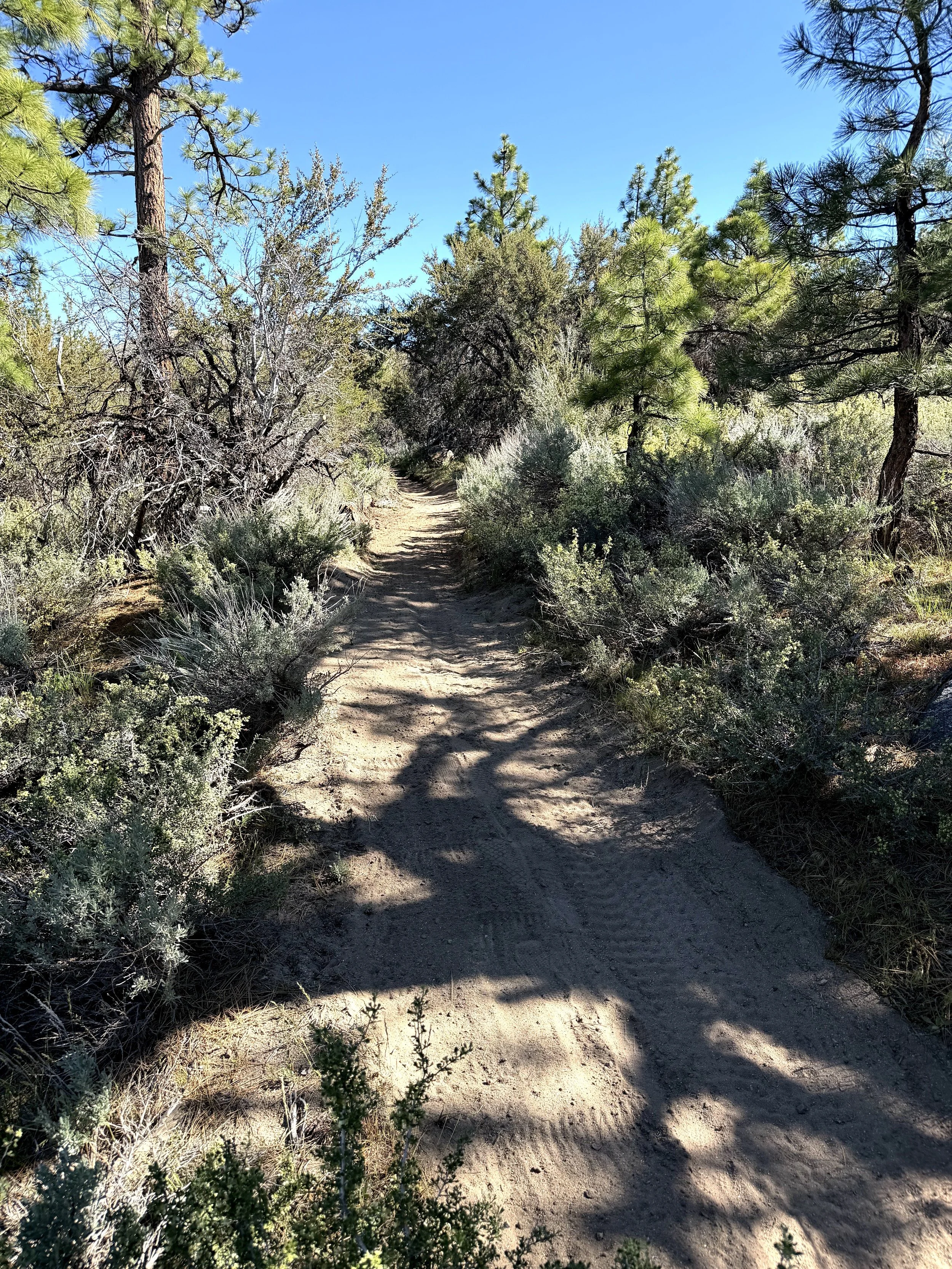 Completed natural surface trail through green sagebrush in Northern Nevada