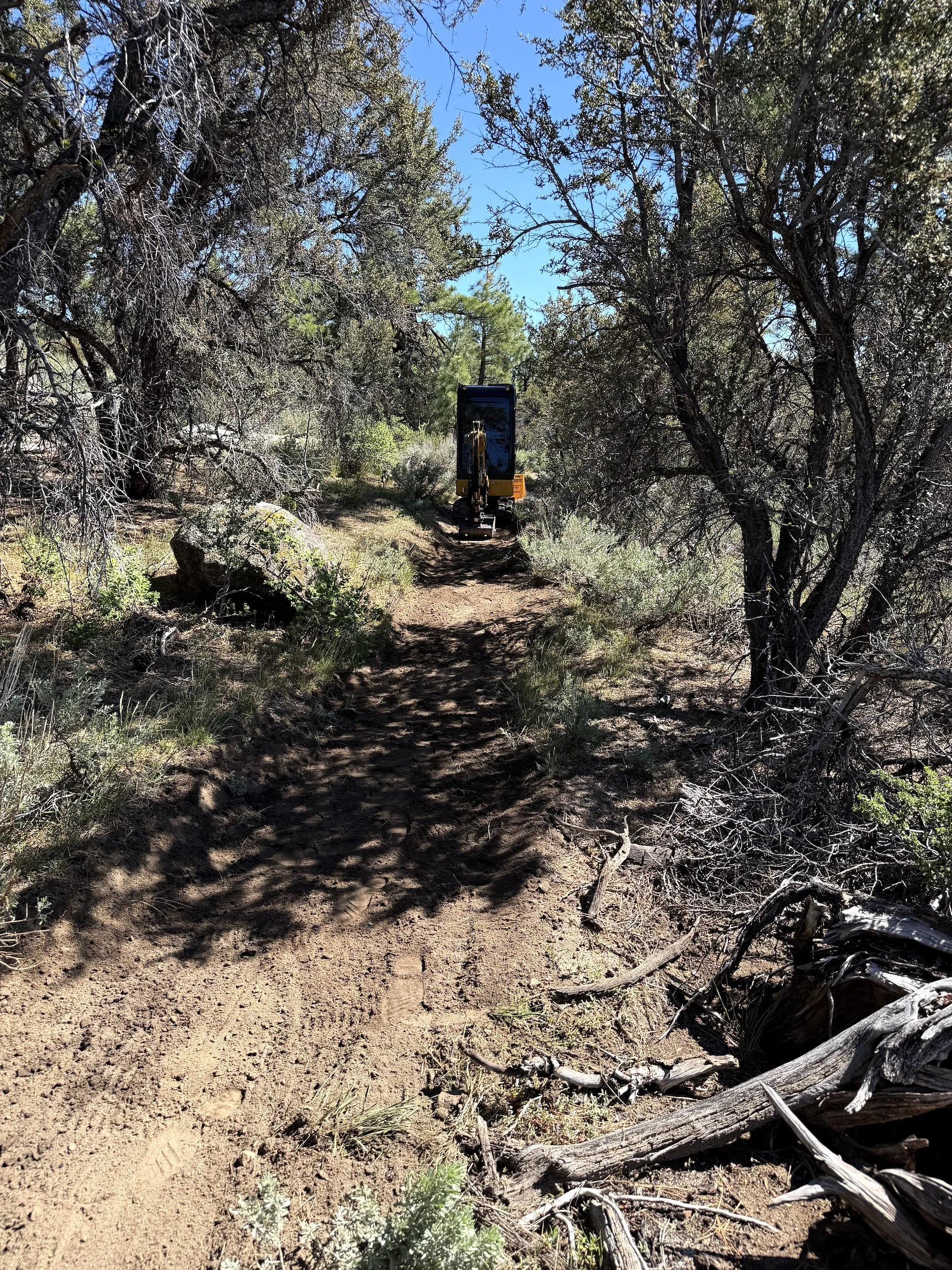 Excavator clearing a trail through wooded brush in Northern Nevada