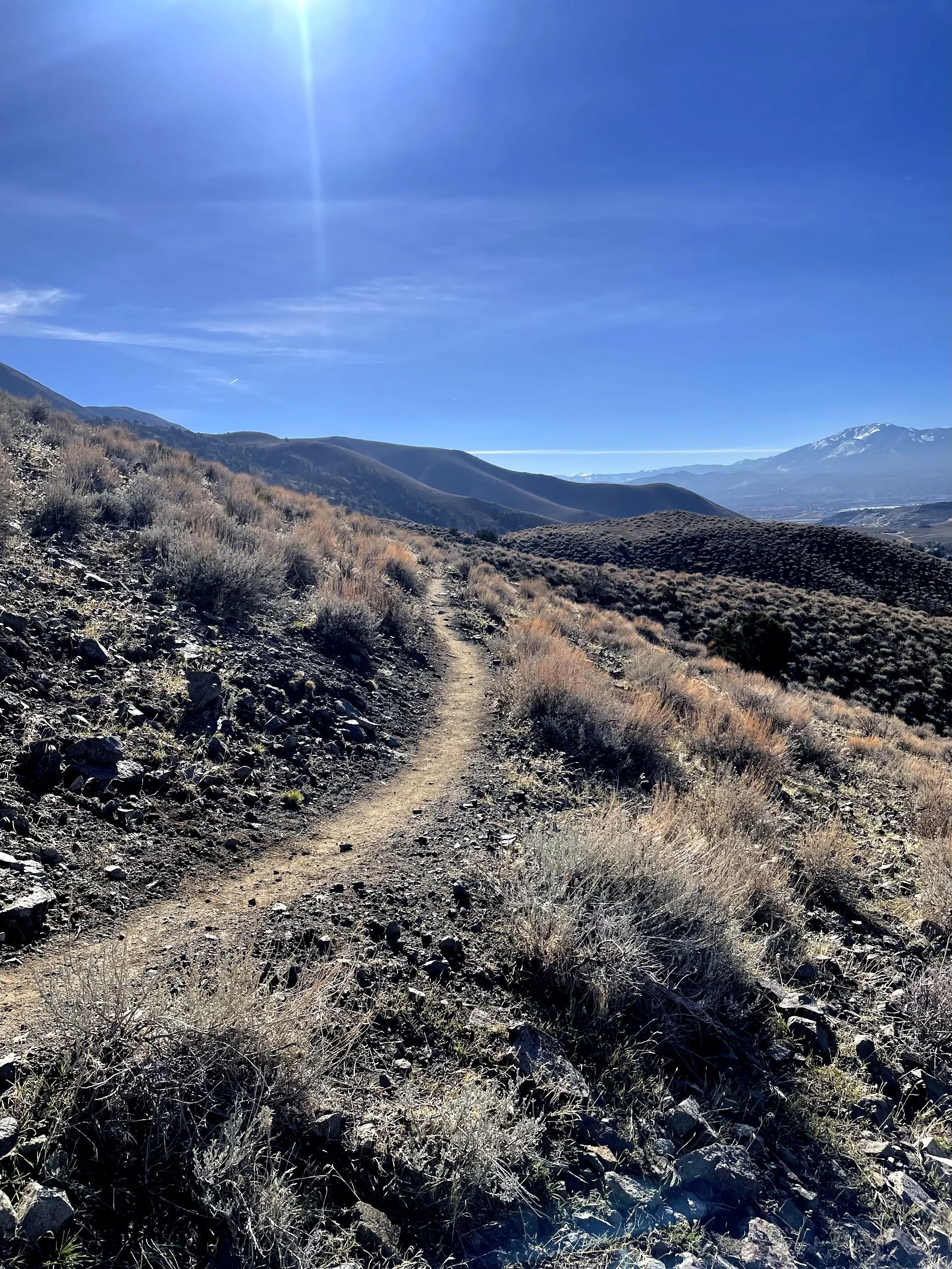 Natural surface trail winding through a sagebrush hillside in Northern Nevada