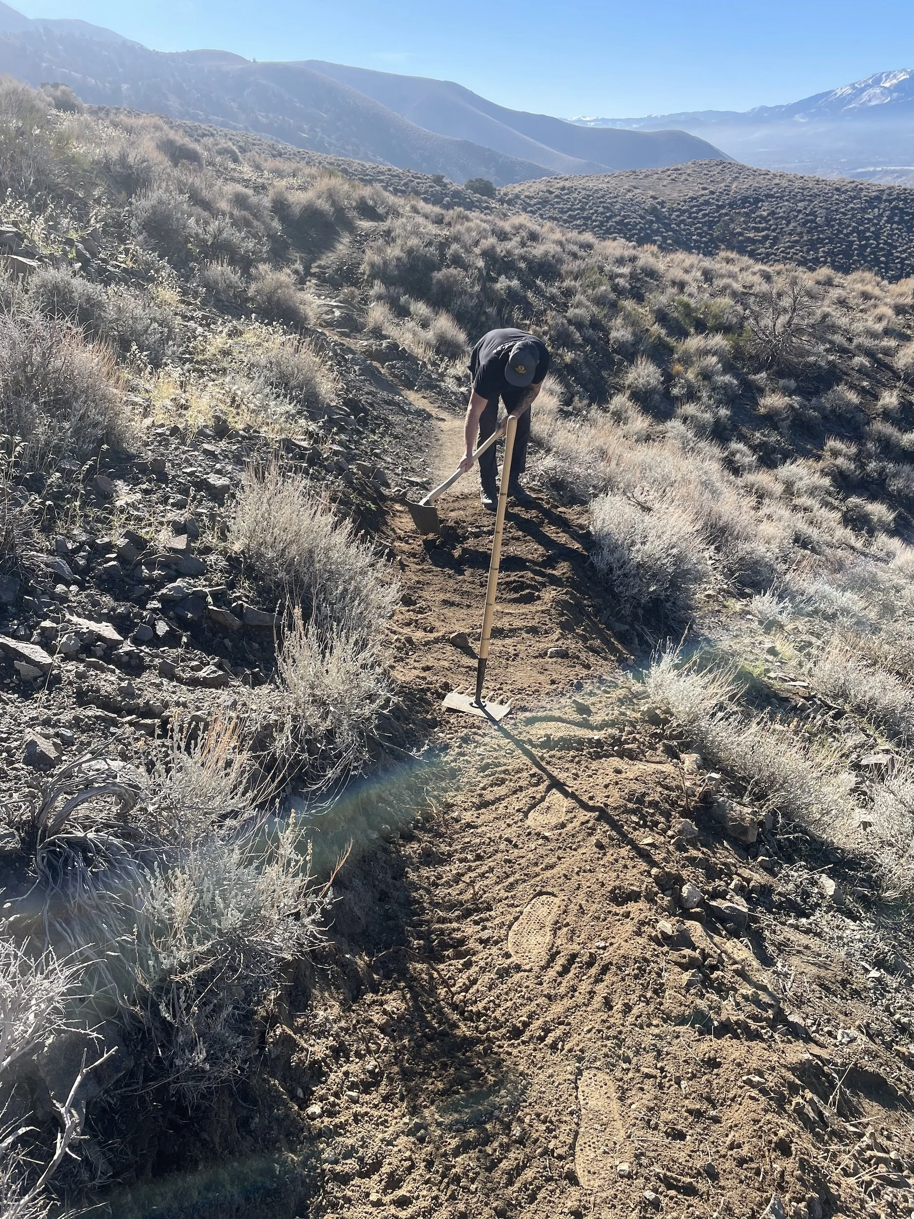  Trail builder using a hand tool to cut new singletrack tread into a steep sagebrush hillside. 