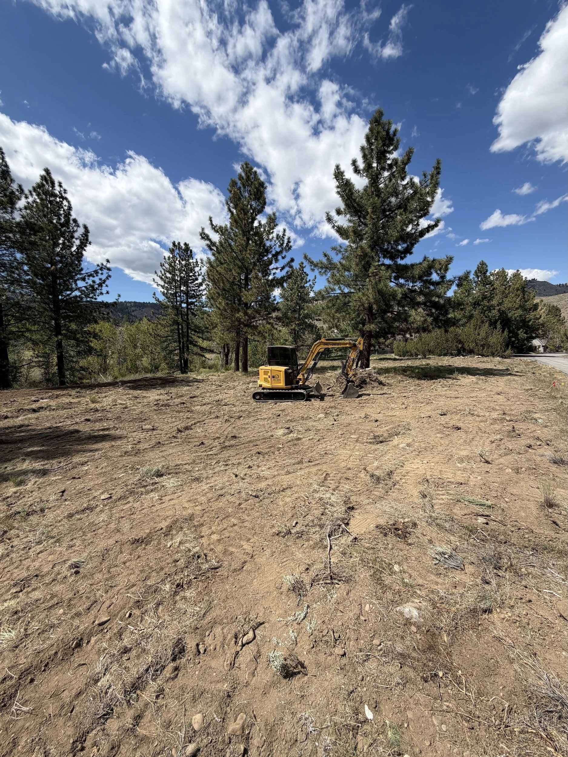 xcavator clearing brush among pine trees on a rural property near Reno