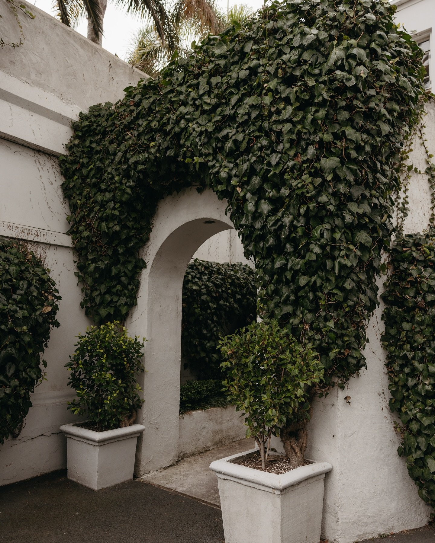 Cocktail hour and reception moments from Travis &amp; Bree&rsquo;s intimate courtyard soir&eacute;e 🏹 

Photographer @savannahwalkerweddings
Venue @mantells_ 

#nzbride #nzweddings #nzwedding #nzweddingstationery #nzweddingstylist #nzweddingvendor #