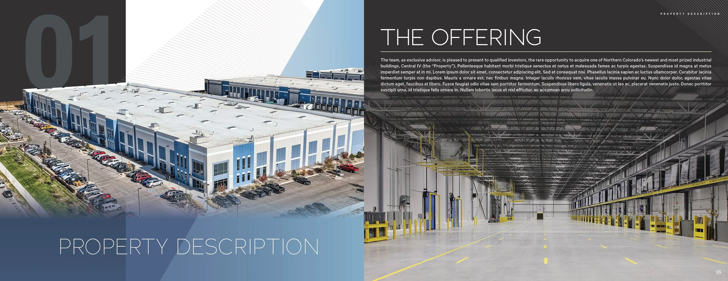 CENTRAL IV WEB DUMMY3.jpg