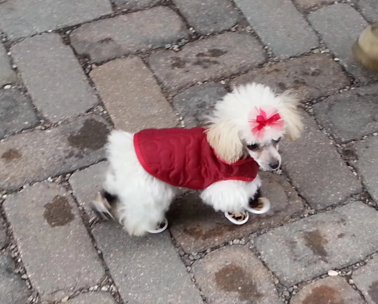 20130301_163353.jpg