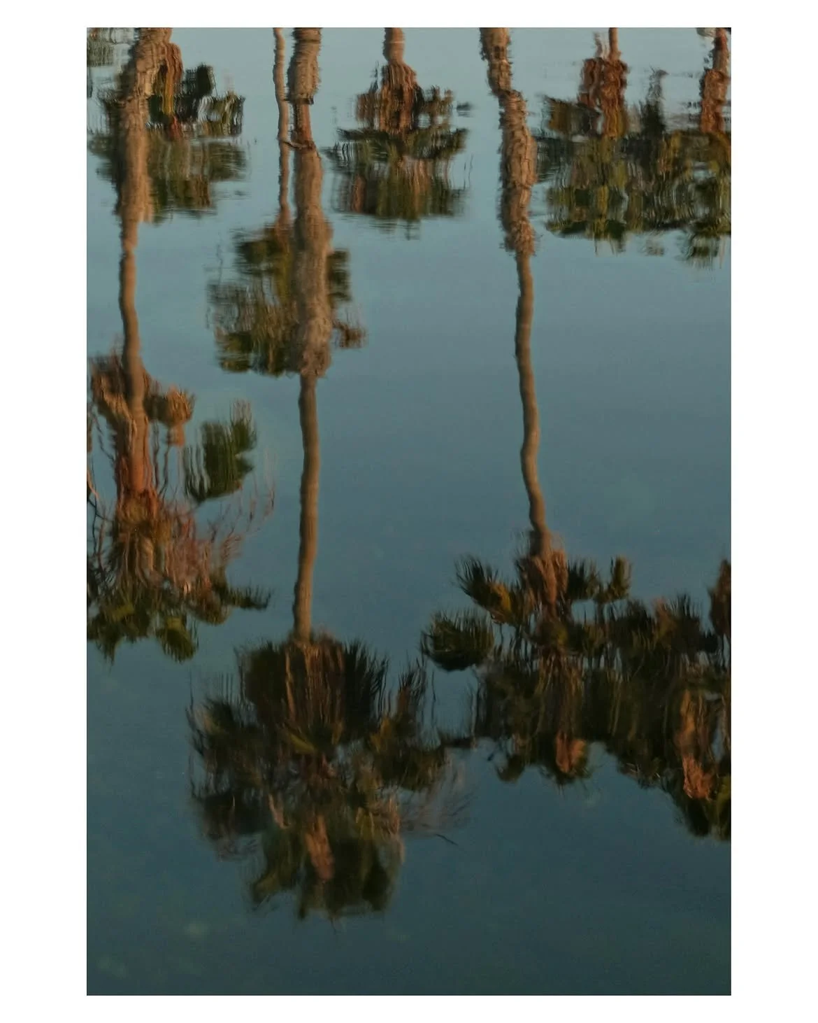 Redondo Beach Reflections #redondobeach #kingharbor #fujifilmshooters #x100v #fujilovers.jpg