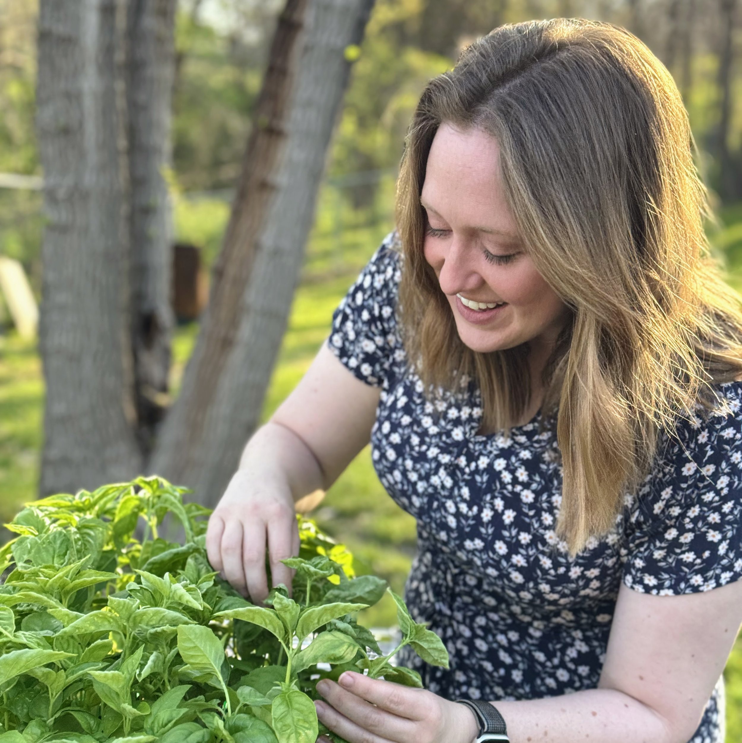 Gardener_Tending_Basil.jpg