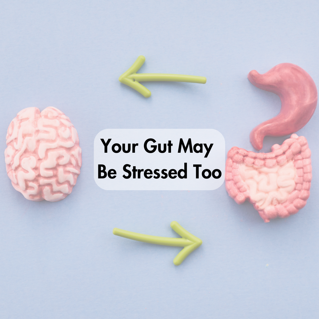 Your Gut May Be Stressed Too