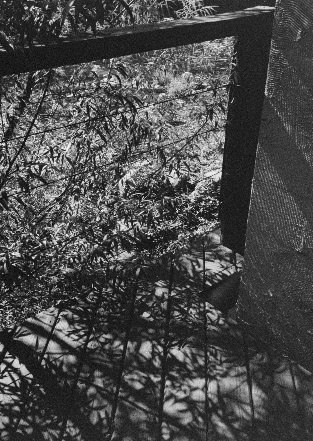 BW-28.jpg