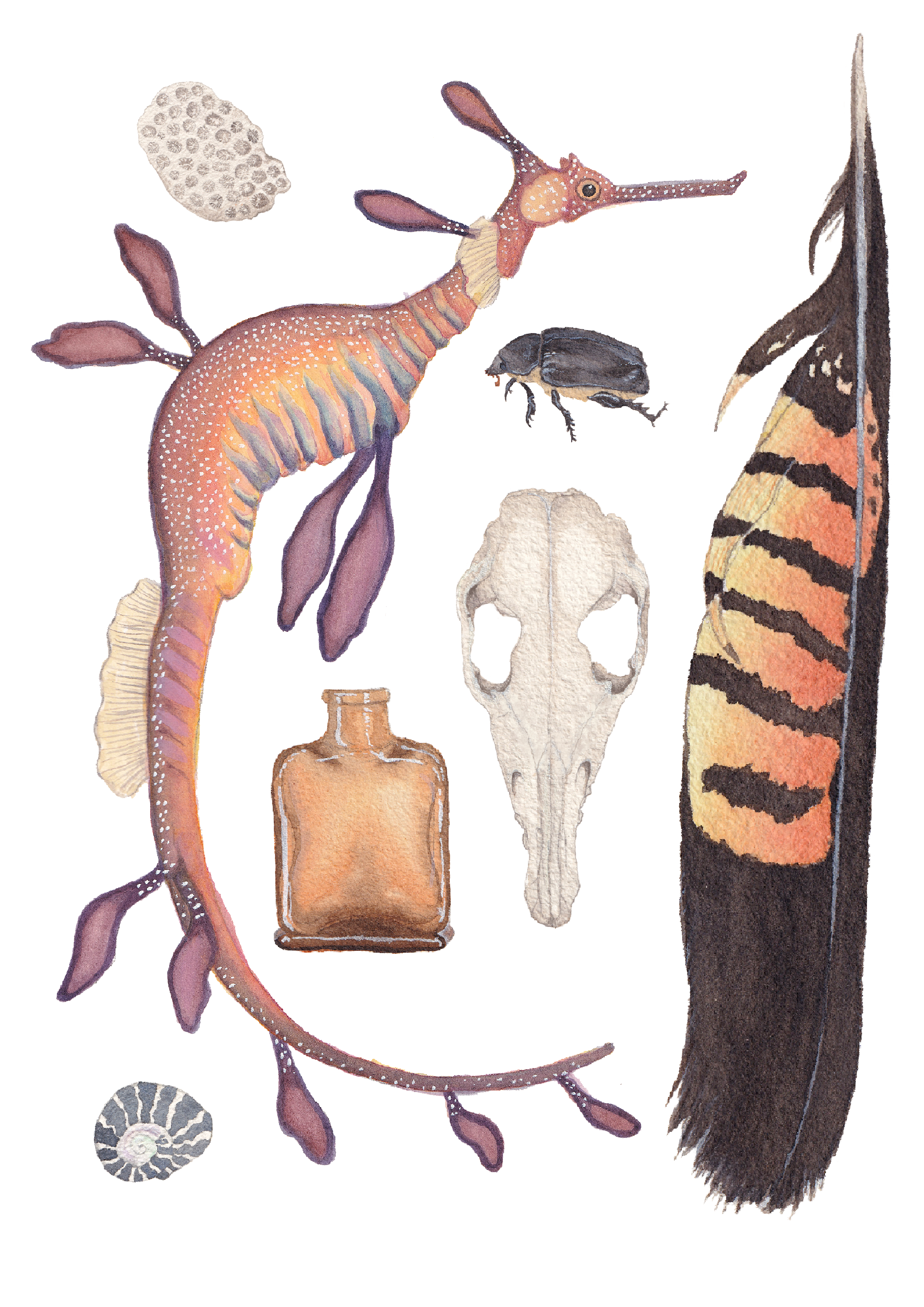 Watercolour Journalling from Nature With Safia Maher