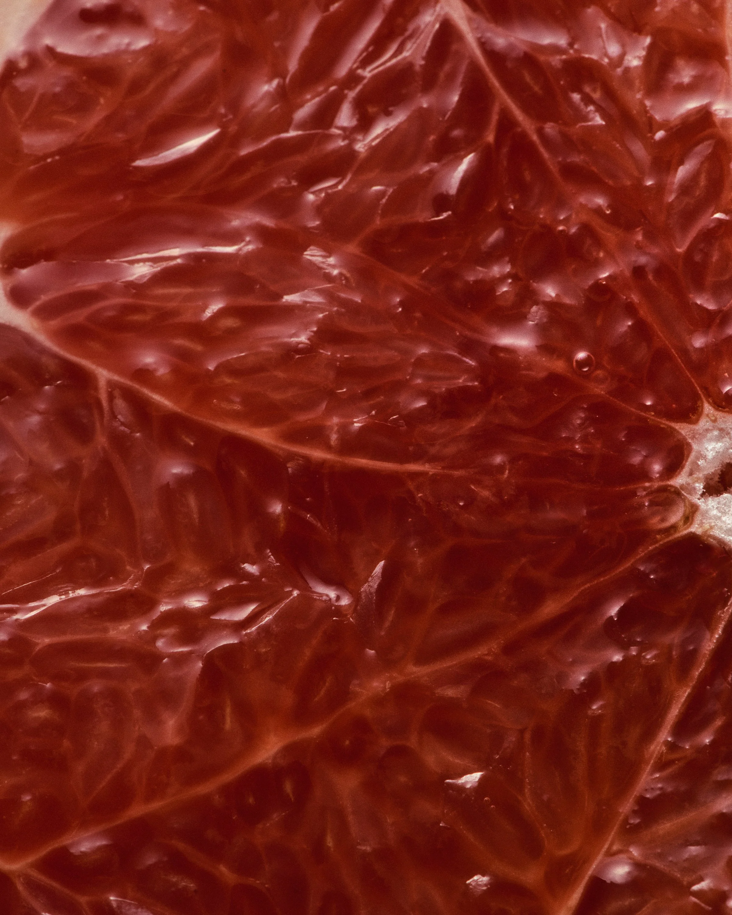 RATIONALE The Body Collection_by Lauren Bamford, Bruna Volpi and Poppy Buntz_33.jpg