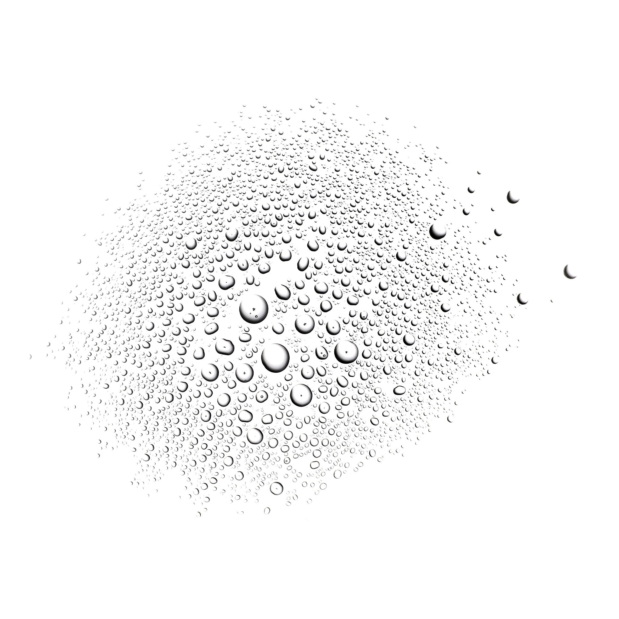 3390150583711_02.jpg