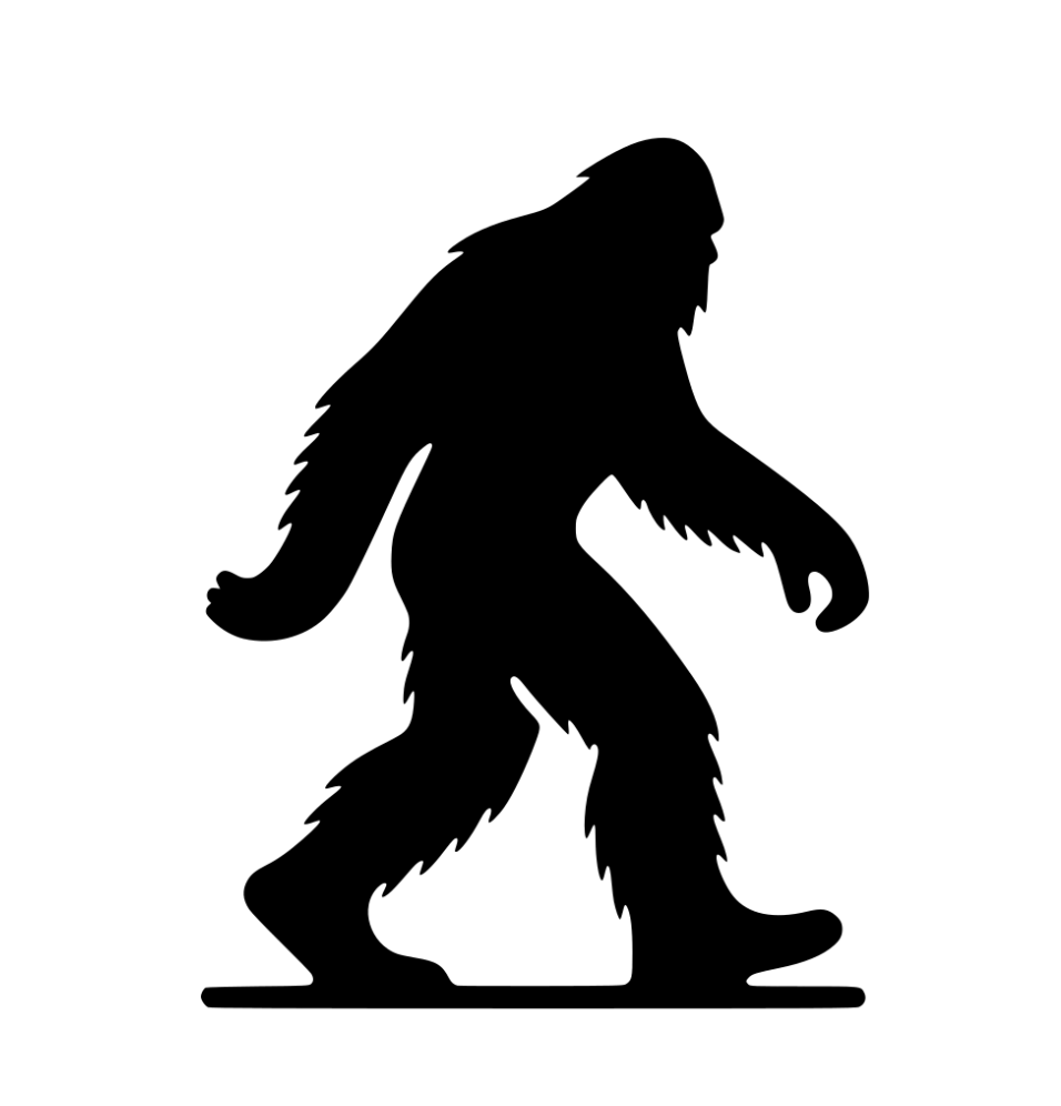 The Friday Footprint 