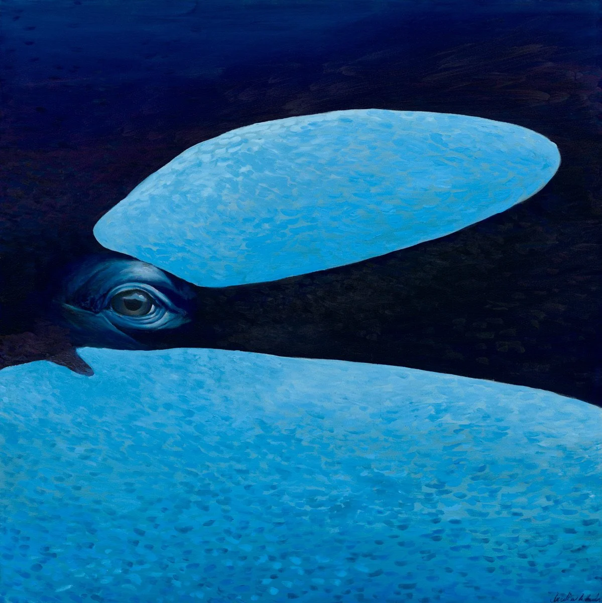 Seeing into a Southern Resident Orca Soul