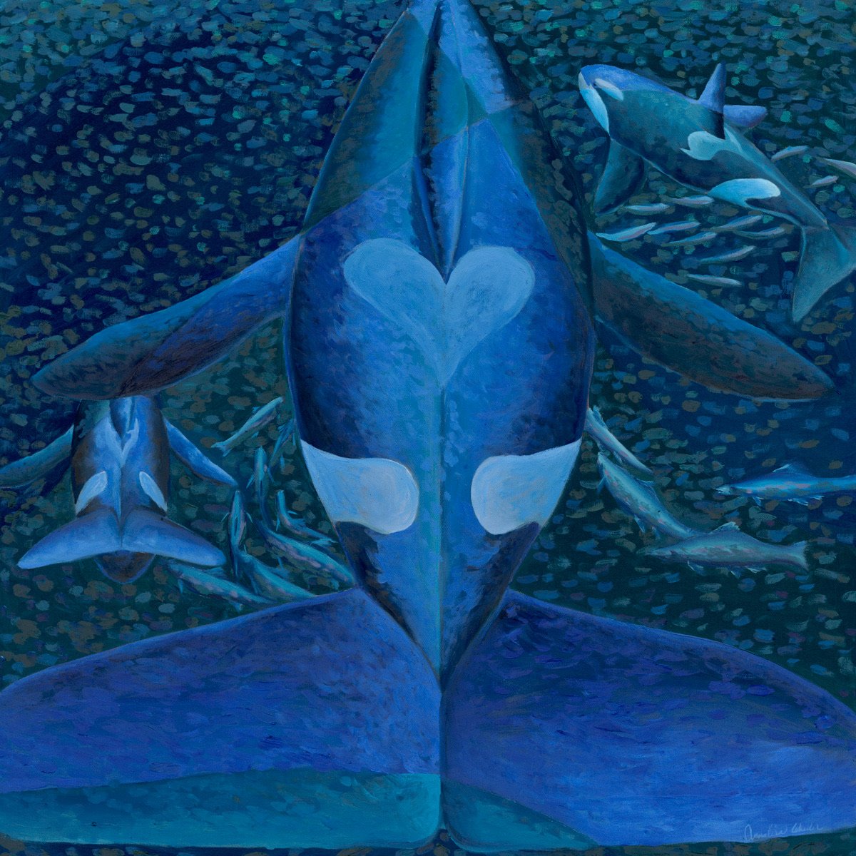 The Heart of the Southern Resident Orcas