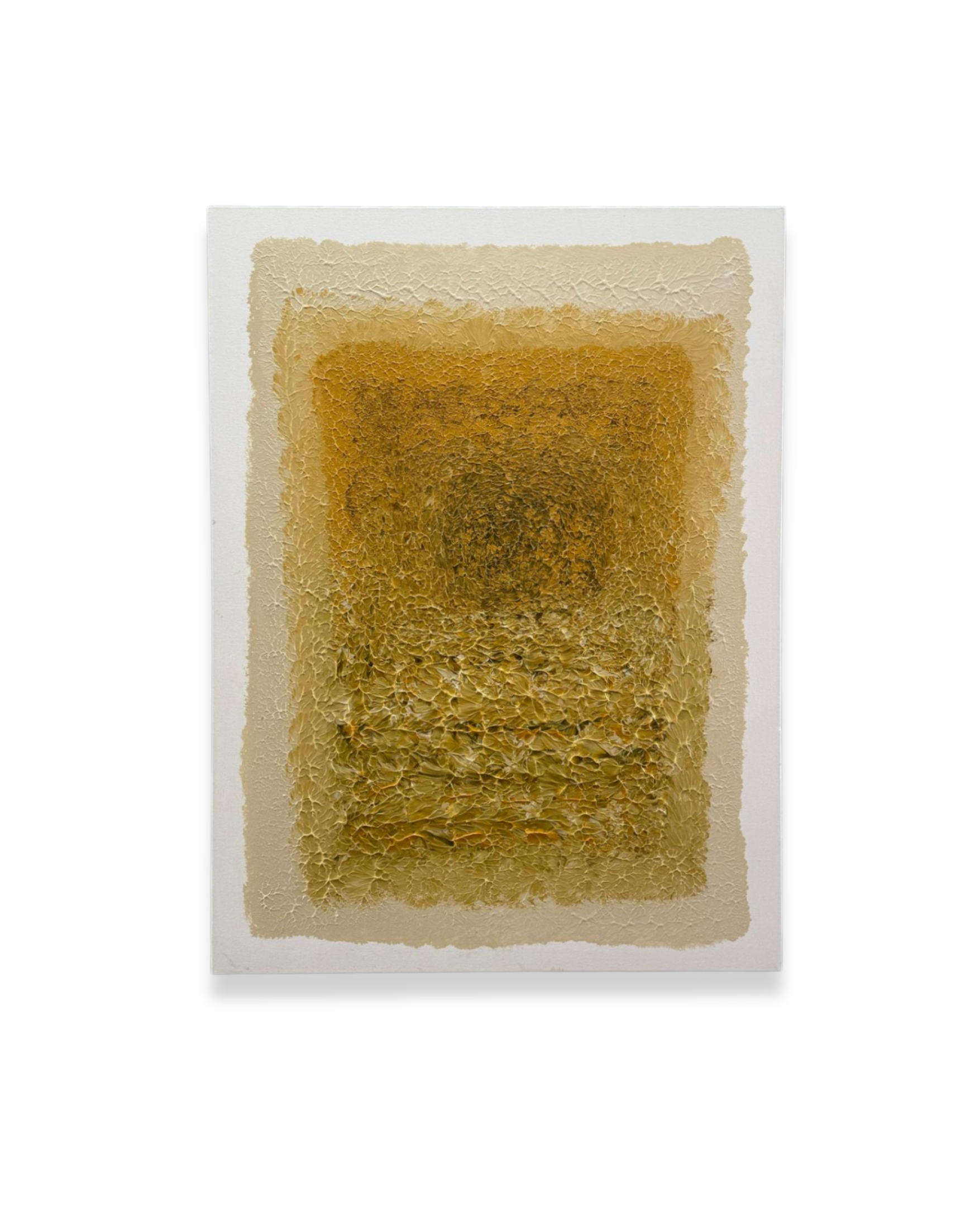 Untitled design (1).png