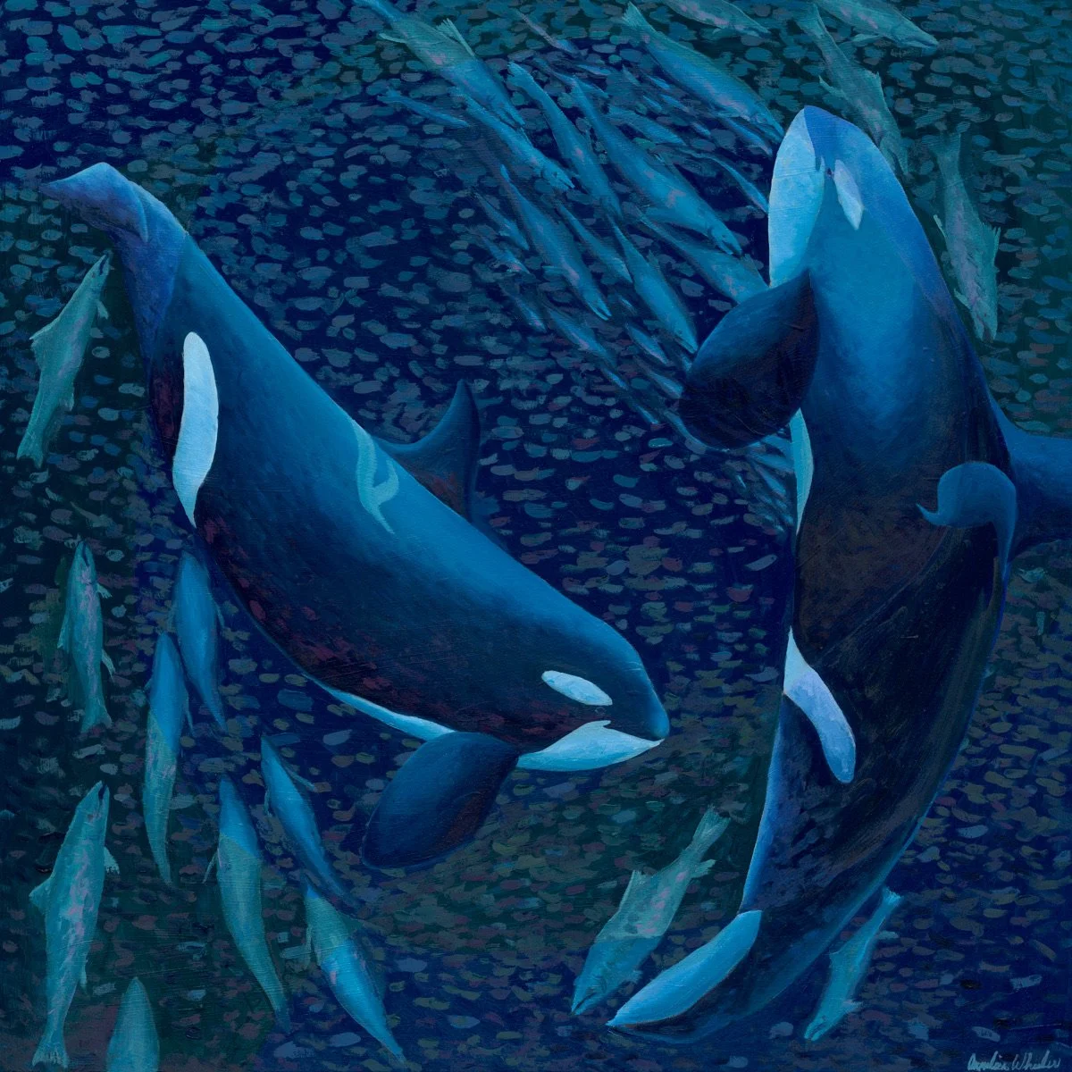 Feast on Chinook Salmon