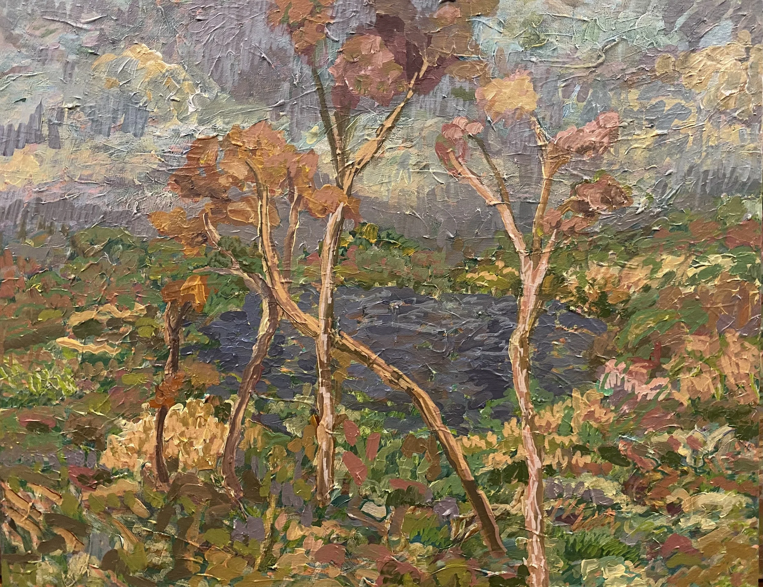 Lake View. 2026. 70 x 90cm. $1580.jpeg