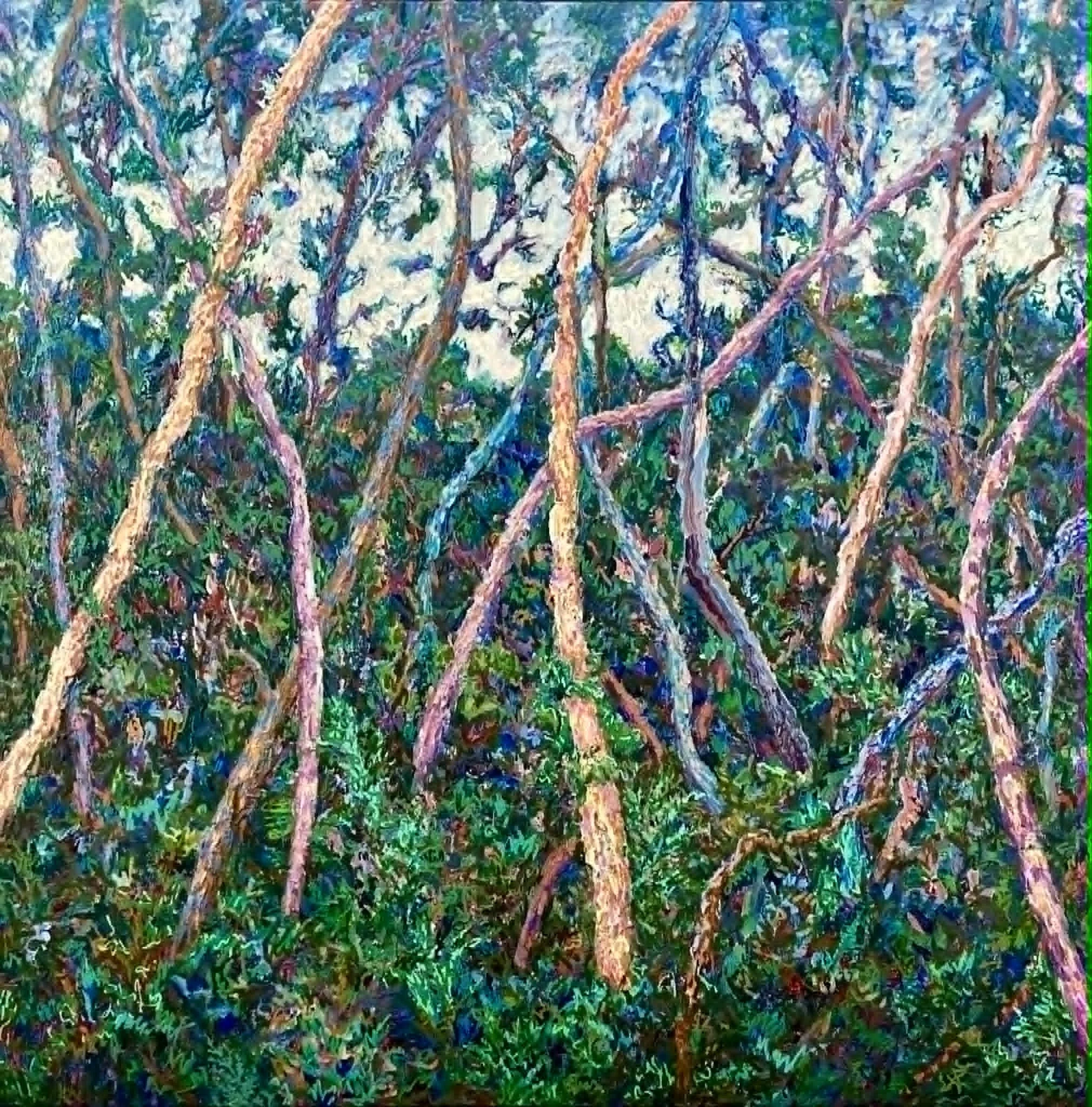 Mystical Forest