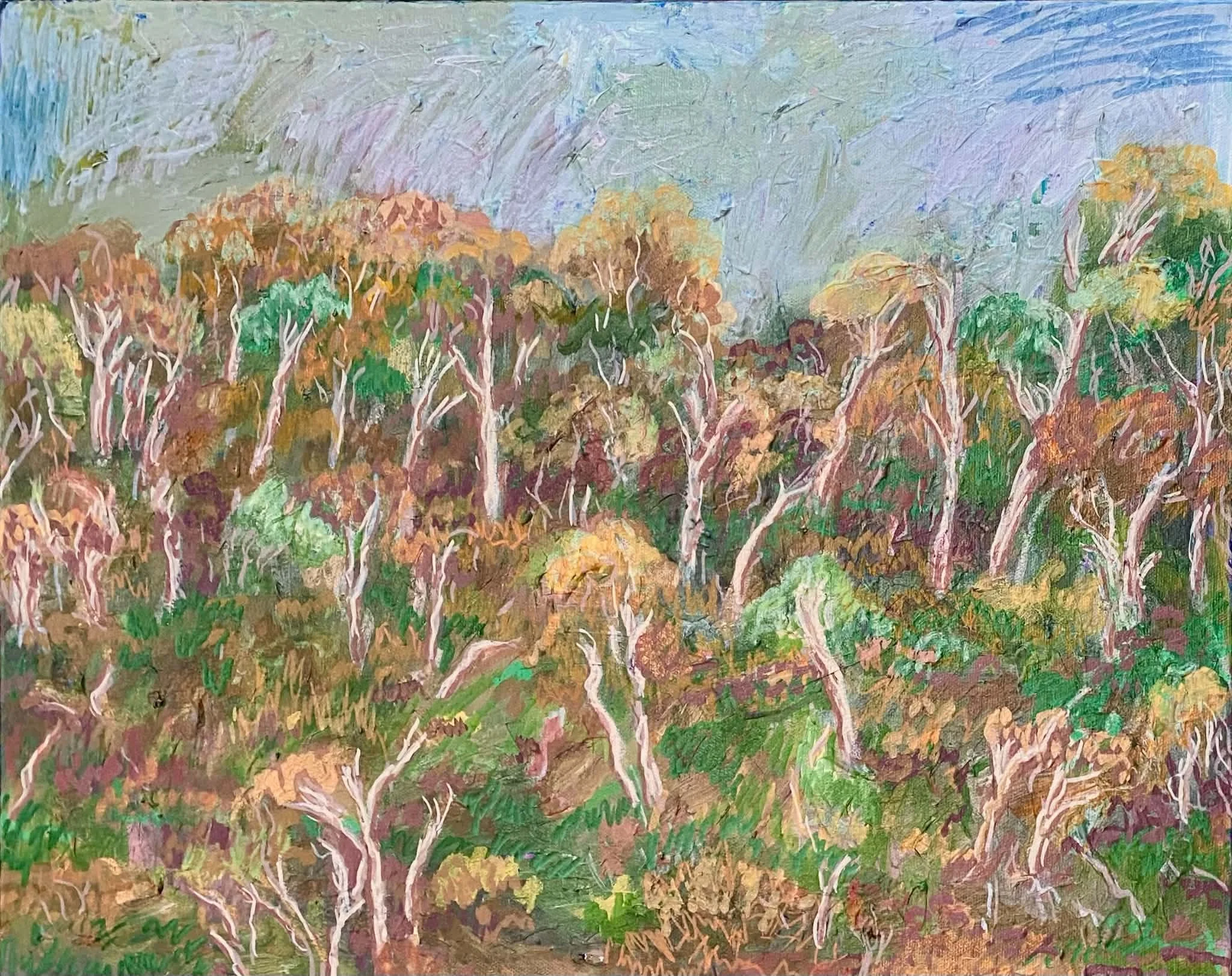 Canopy. 2026. 30 x 40cm. 