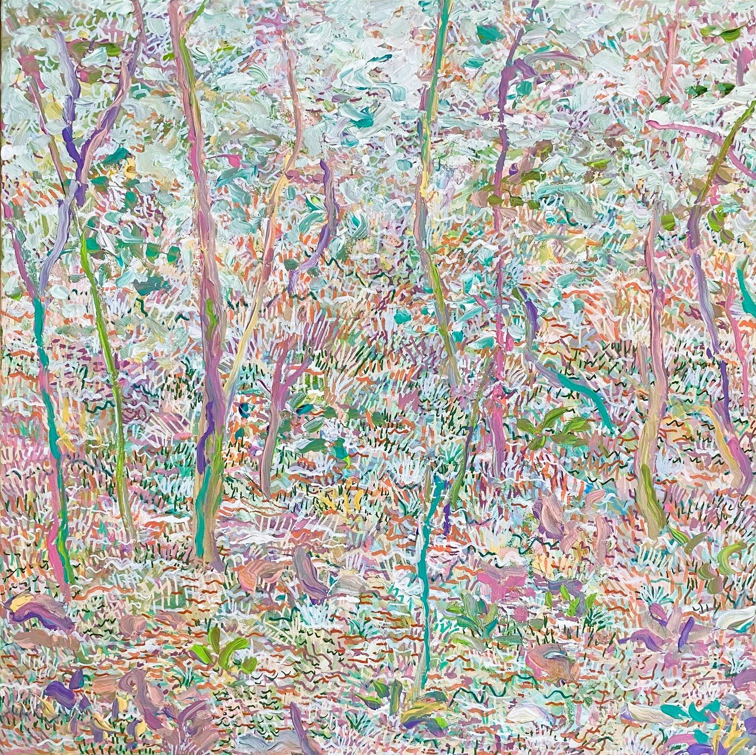 Ancient Forest Trail. 2024. Jaclyn Poke.jpg