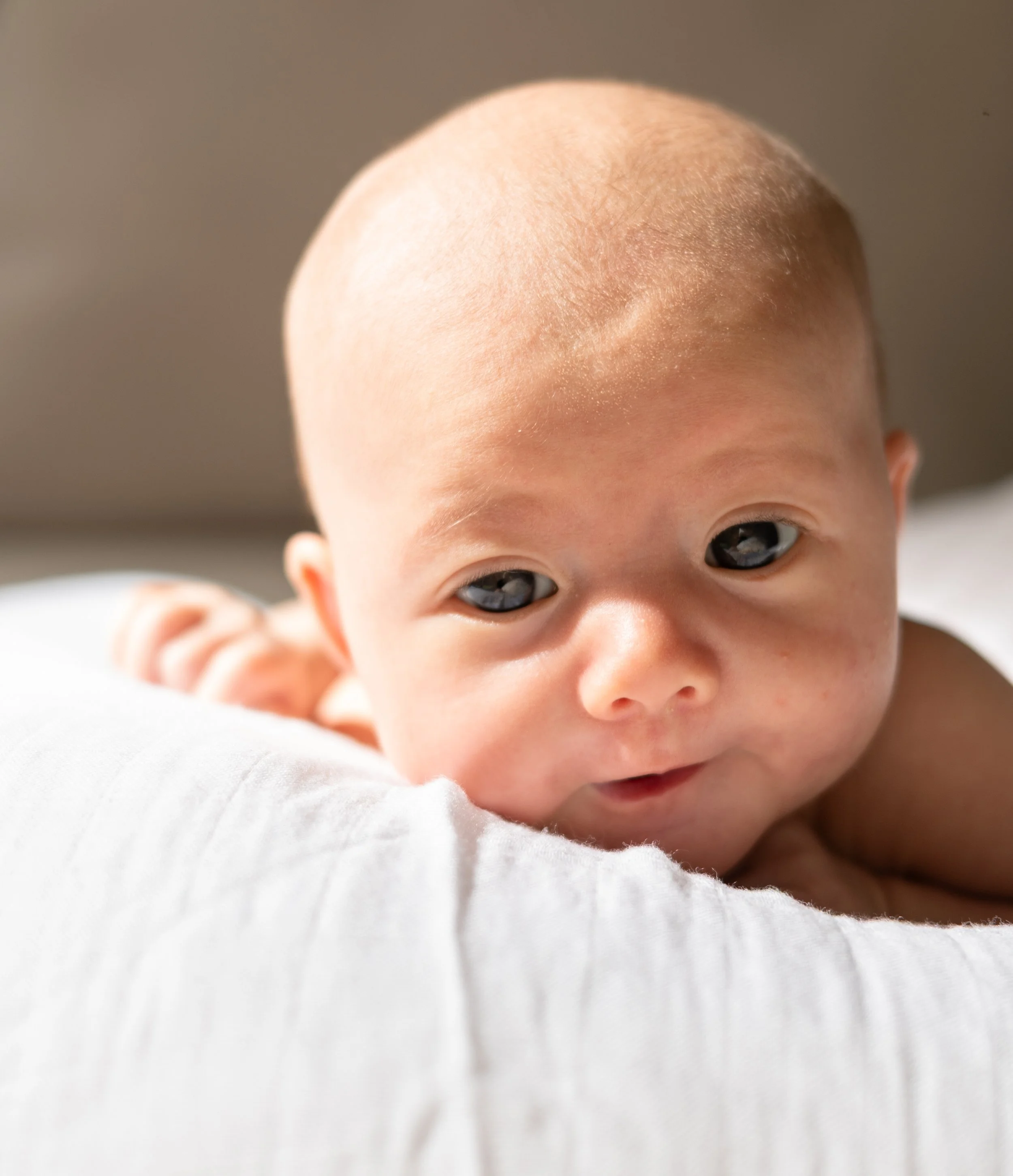 Newborn photography session in Cairns by Loulou Captures