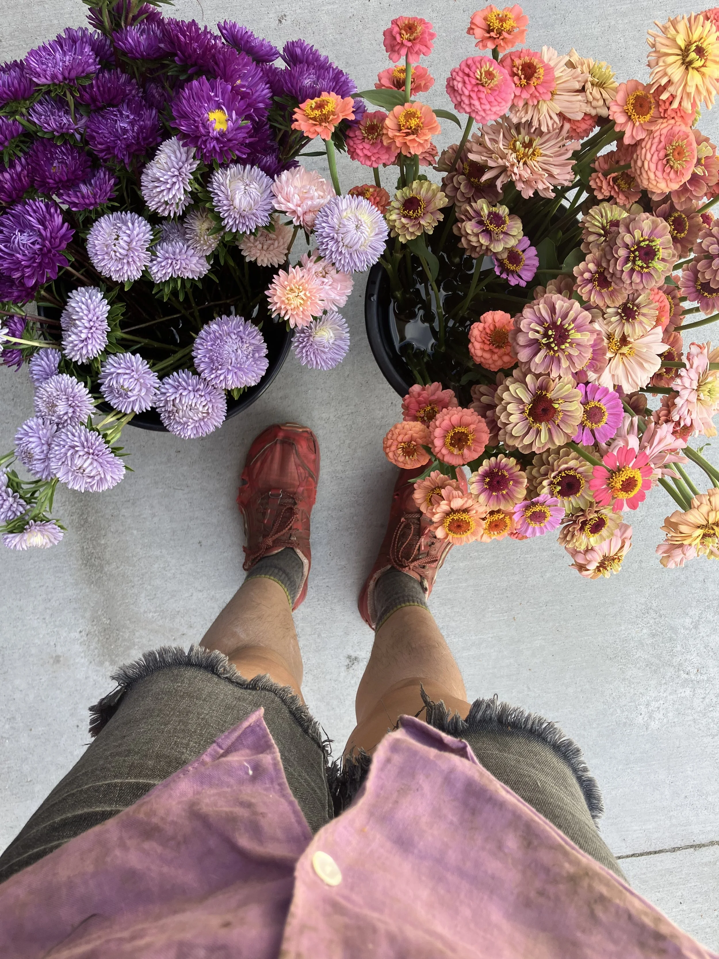 Pink and purple flowers match the outfit of the flower farmer who grew them with love and care. 