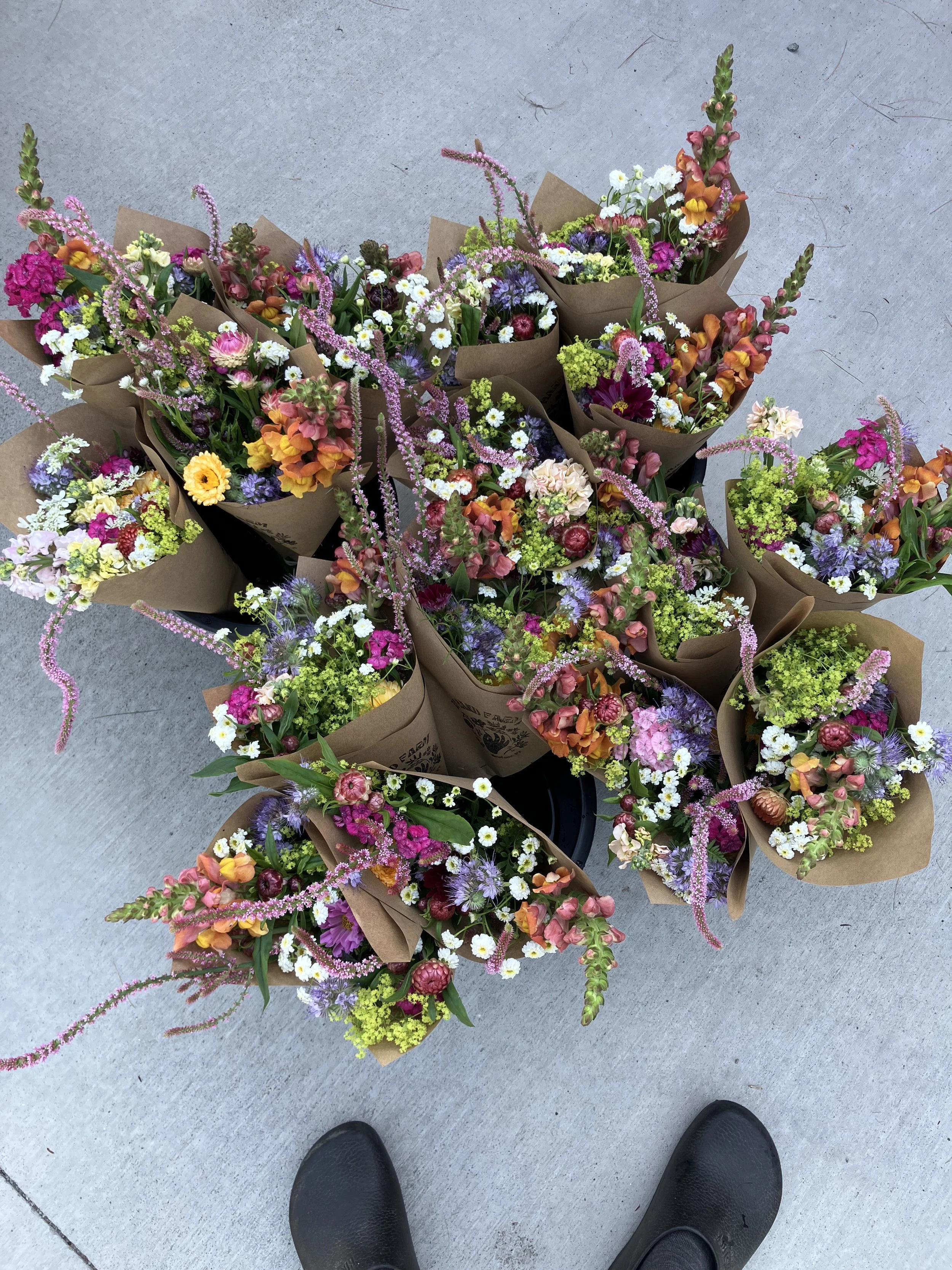 IMG_4299.jpeg (Copy)