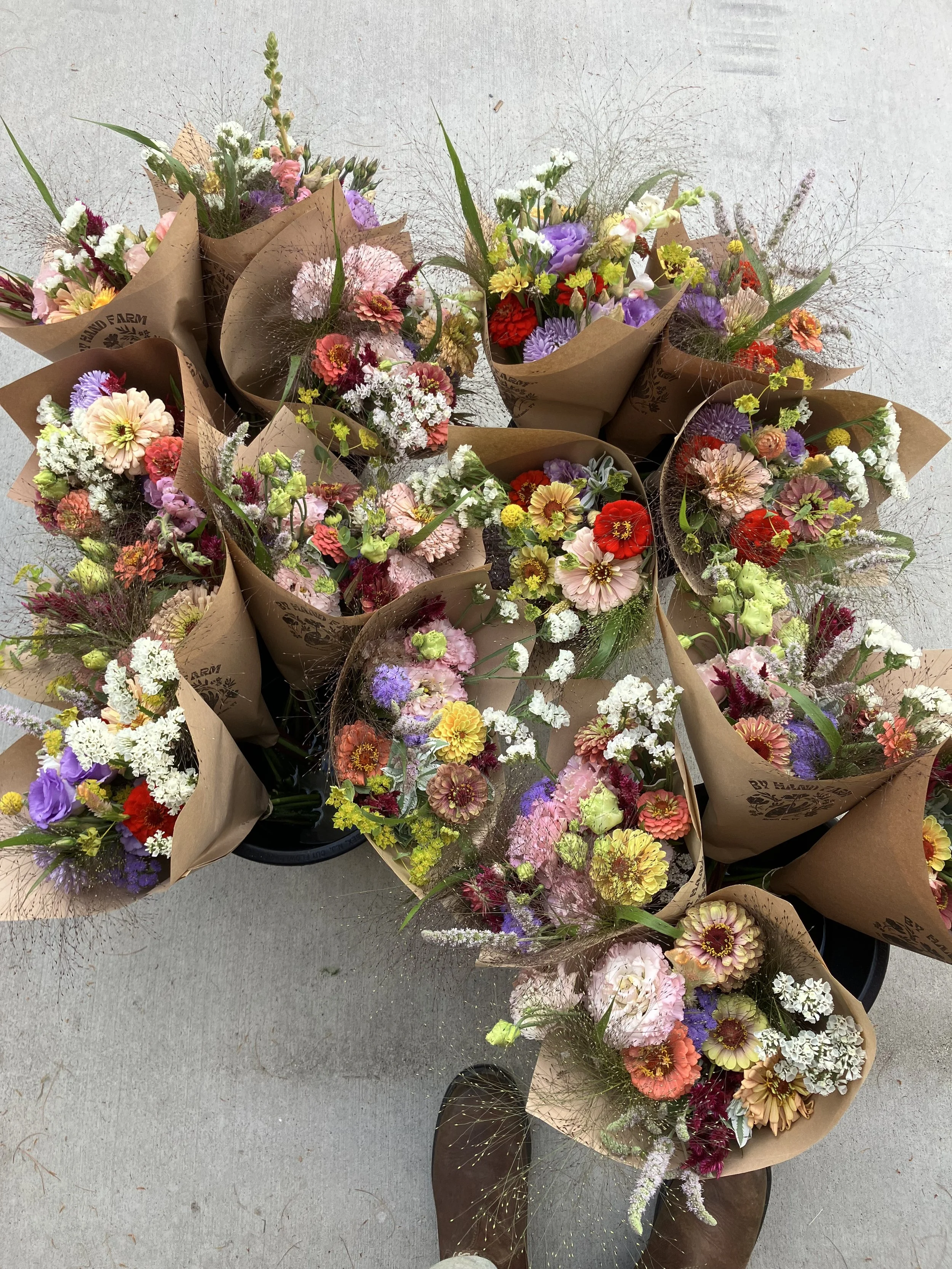 IMG_5009.jpeg (Copy)