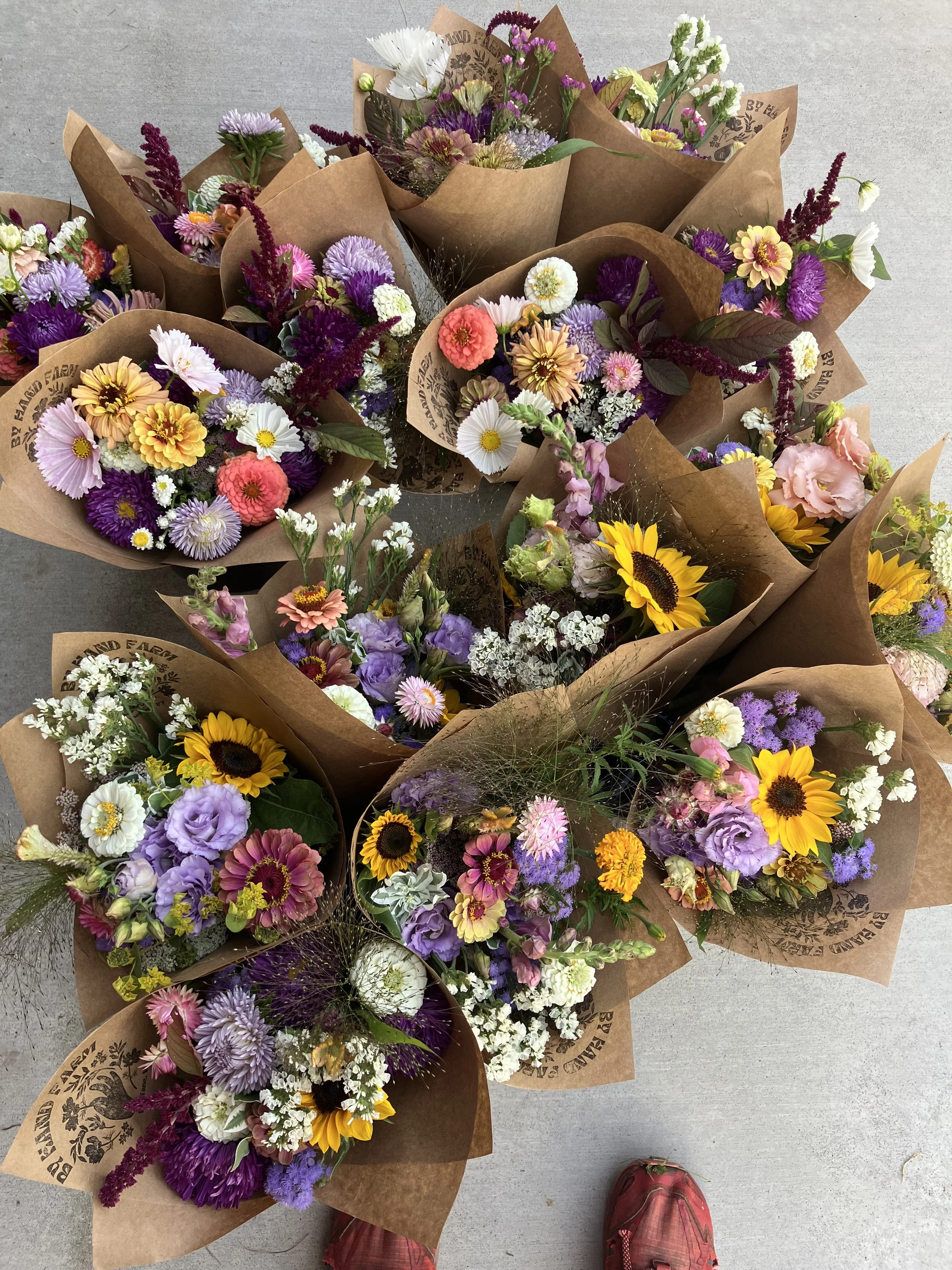 IMG_4910.jpeg (Copy)