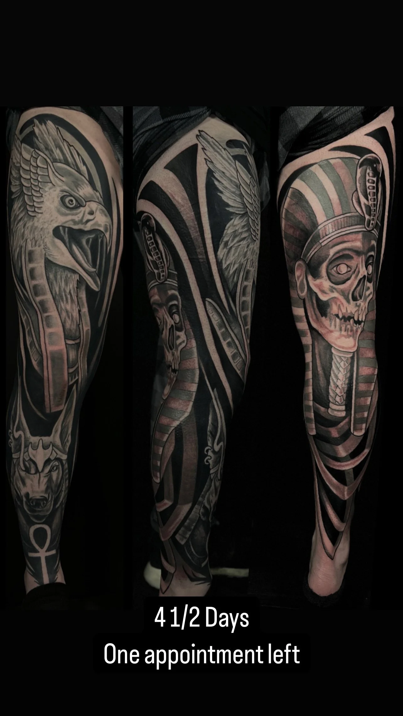 Tattoo sleeve featuring a eagle, snake, skull, and other elements, with a caption indicating 41 and a half days and one appointment left.