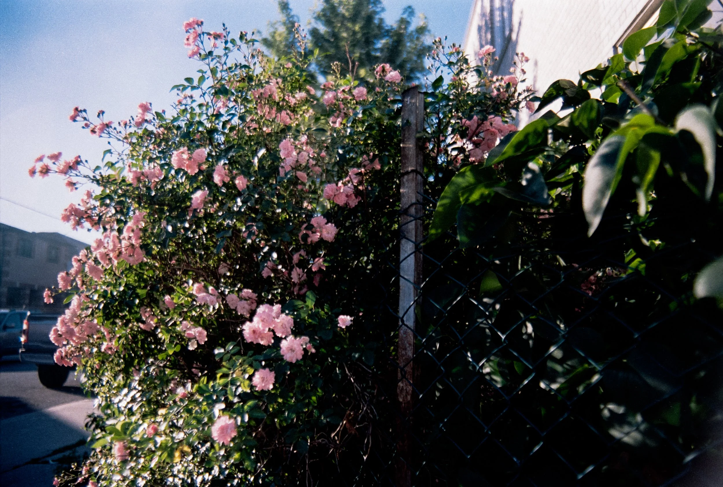 Image (3).jpg