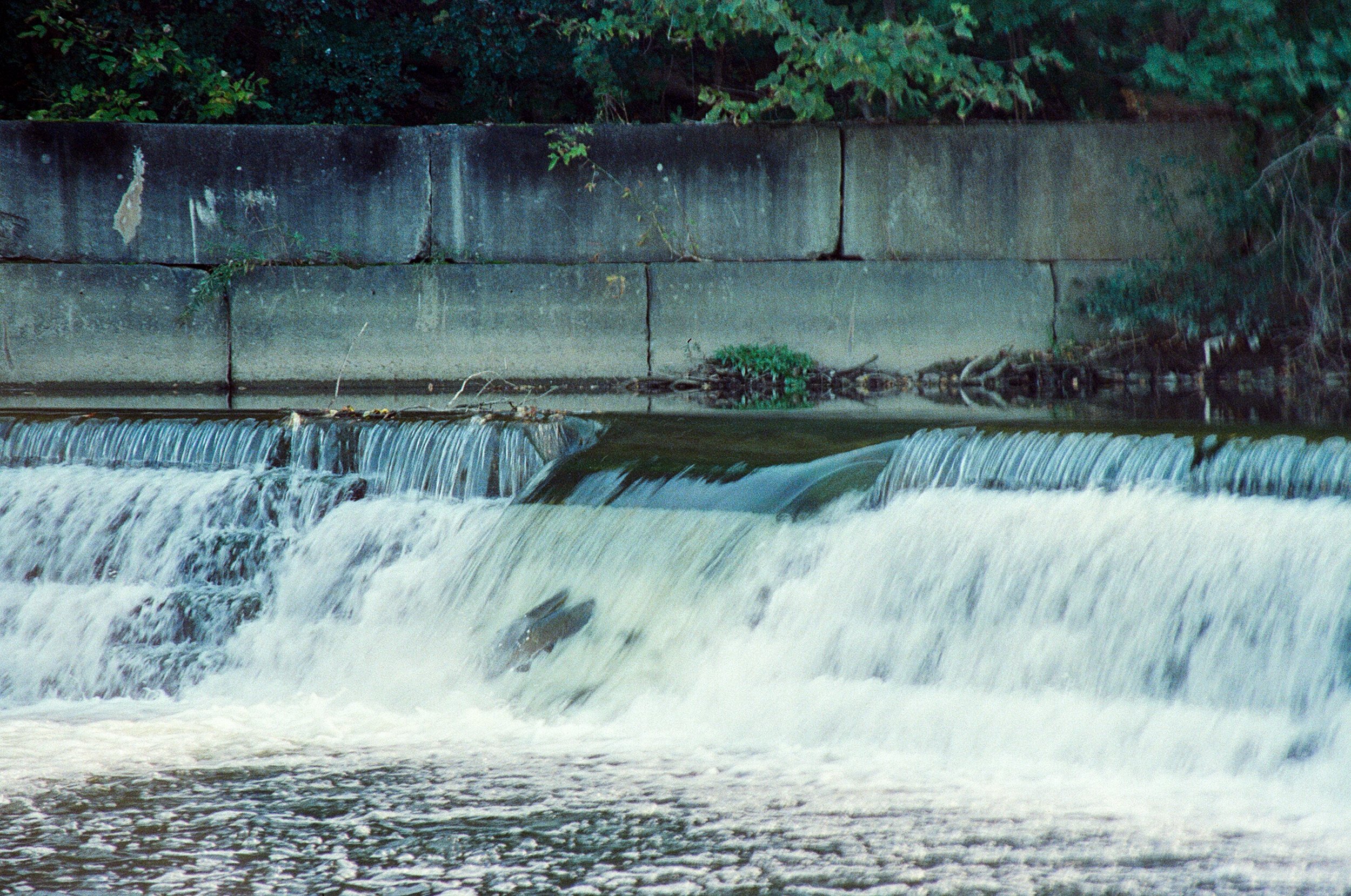 81190002-2.jpg