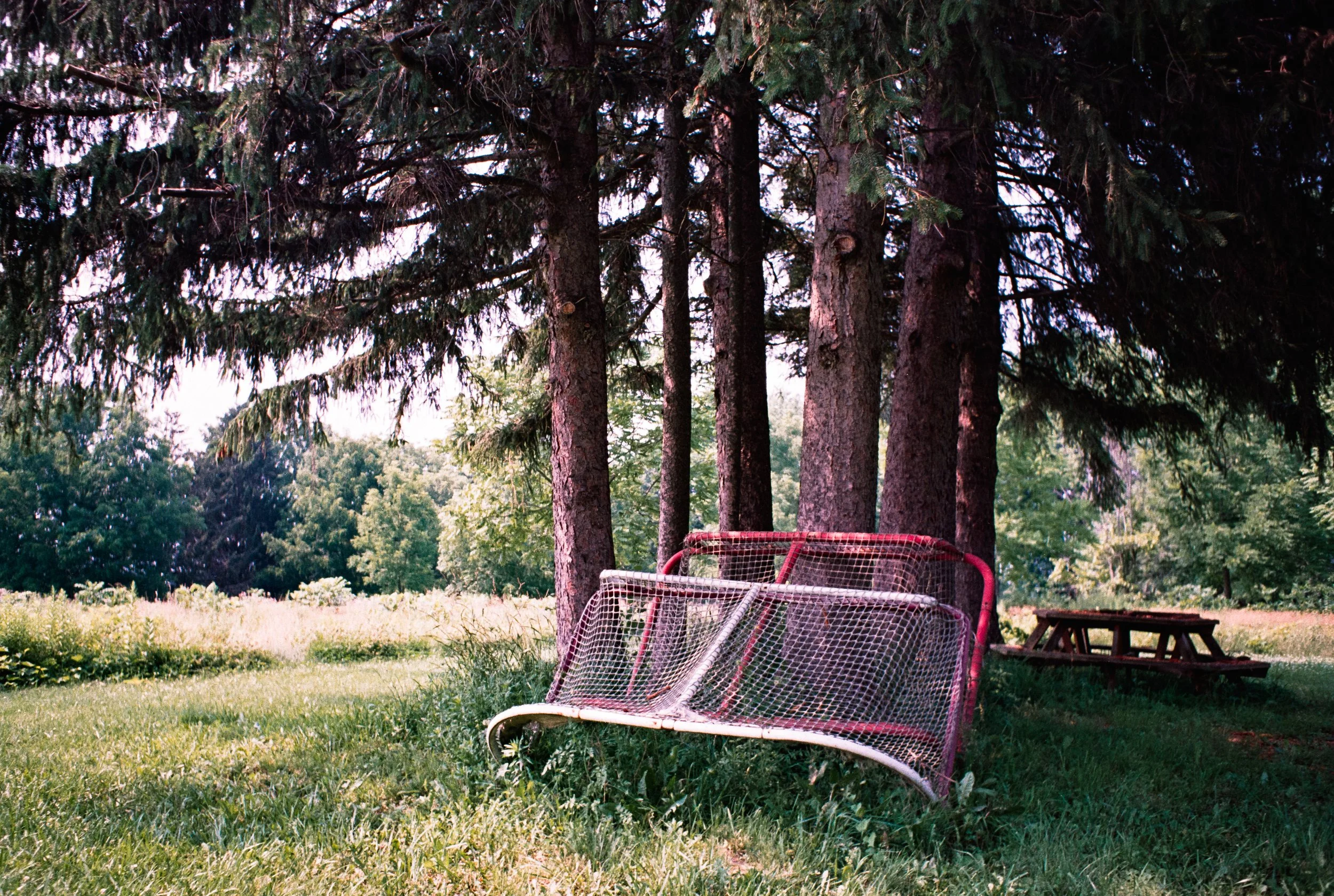 Image (22).jpg