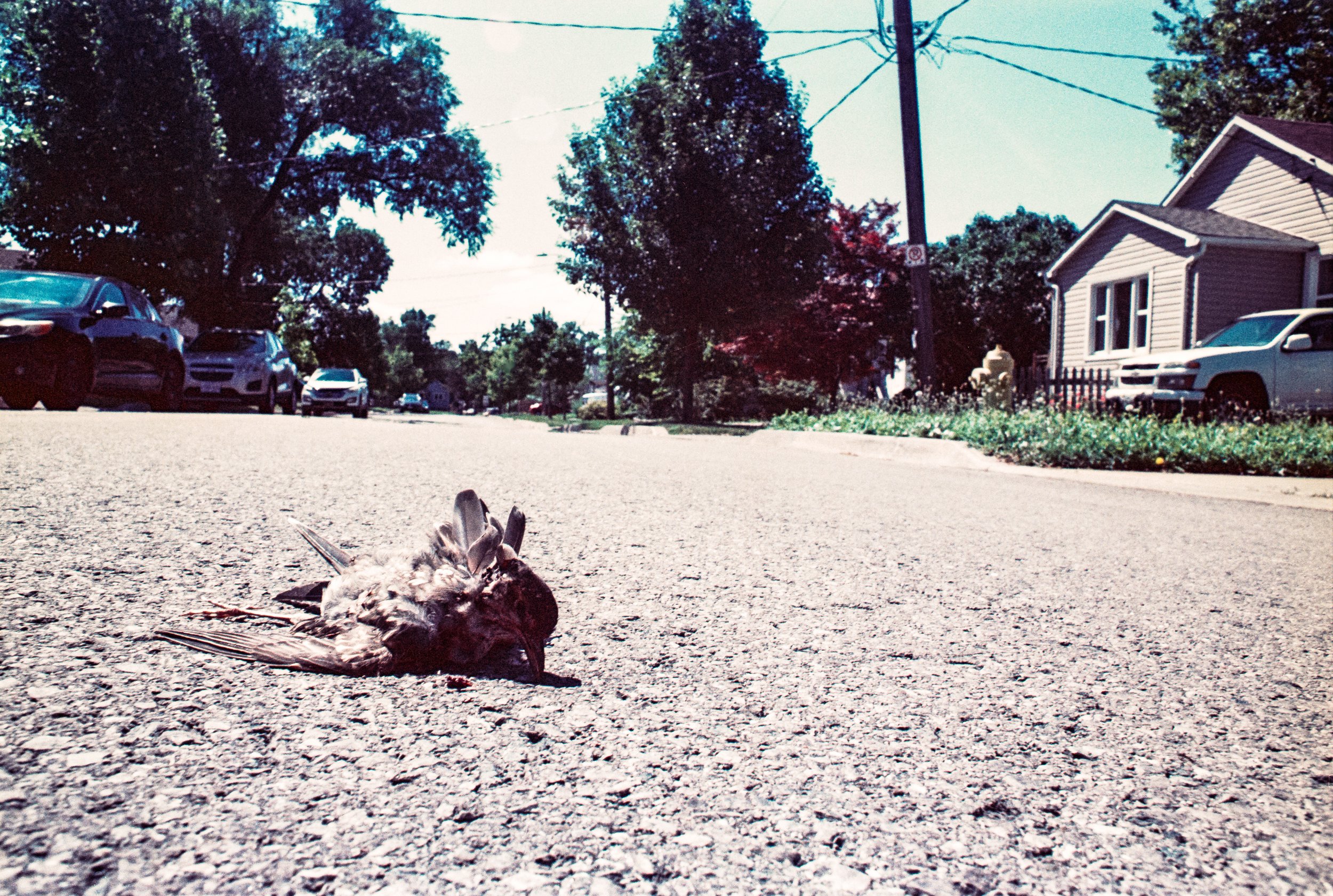 Image (19)-2.jpg