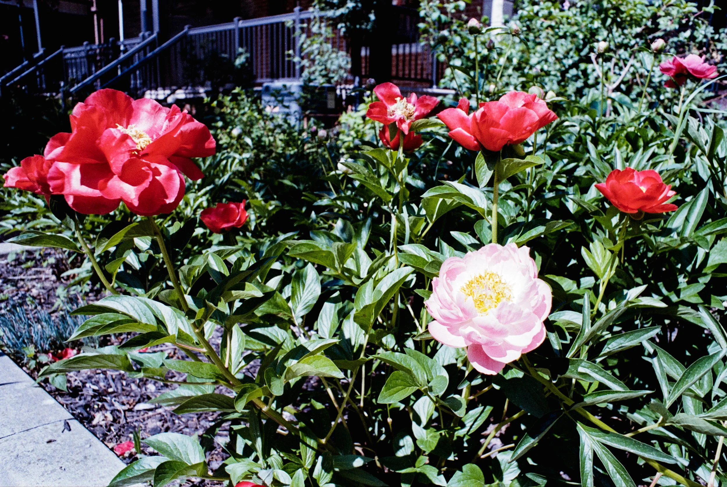 Image (18).jpg