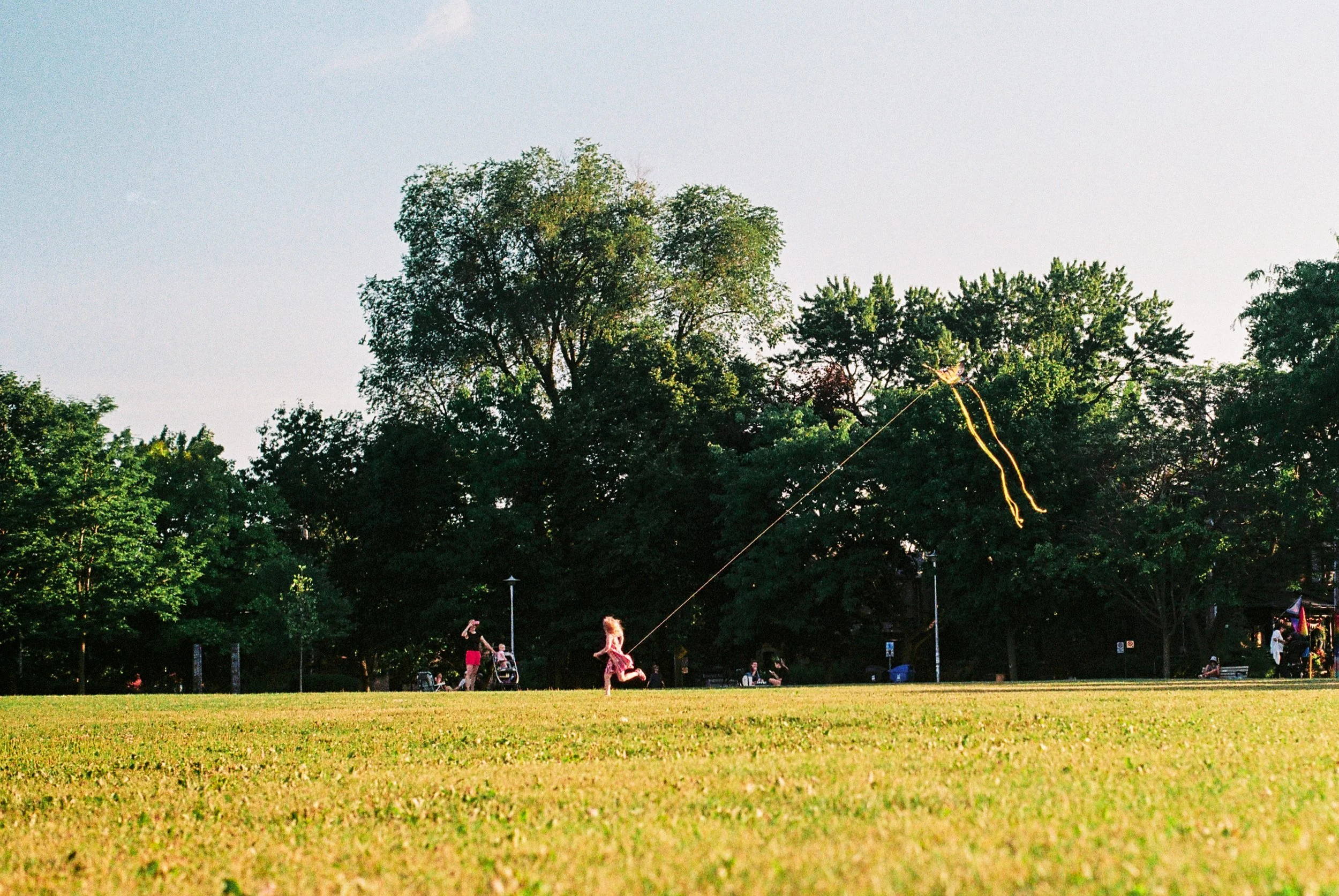 12 July35mm2.jpg