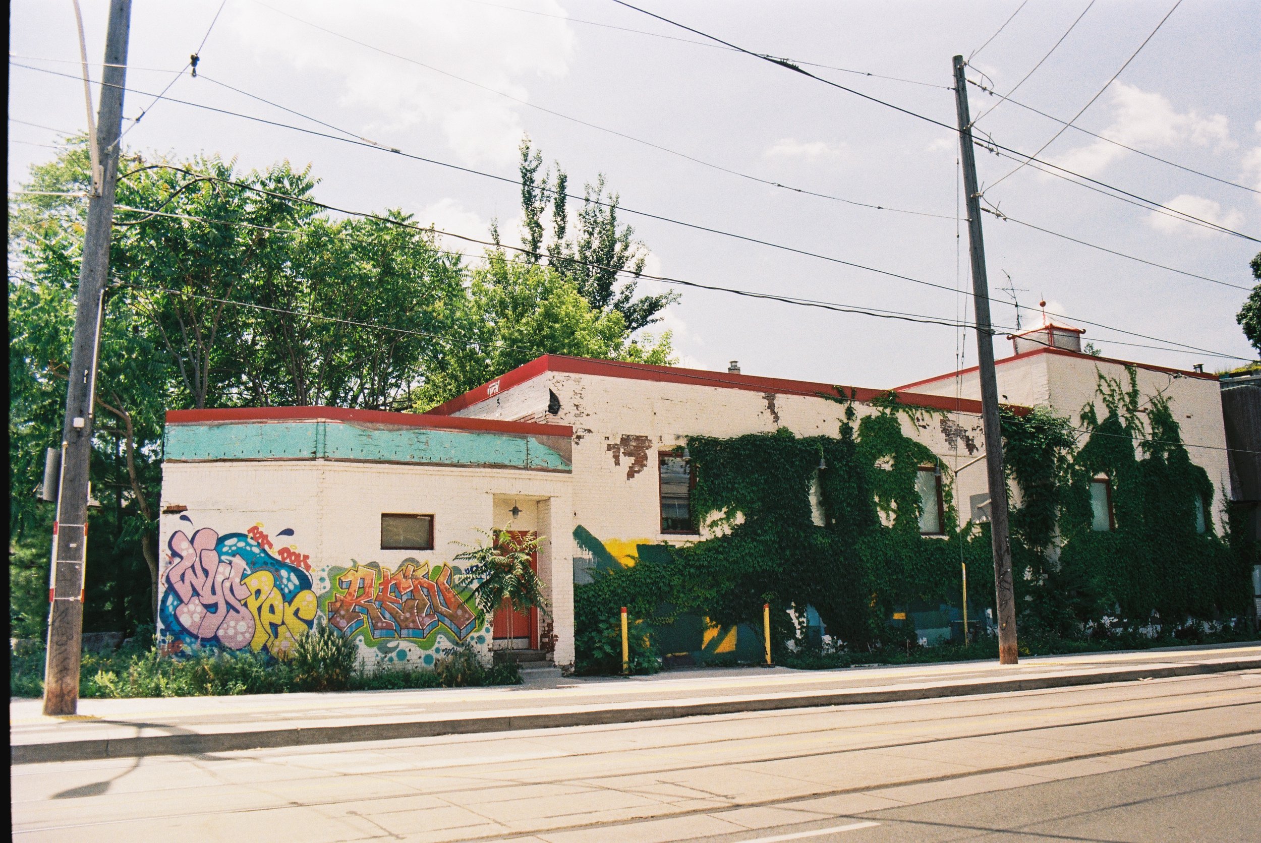 11 june35mm7.jpg