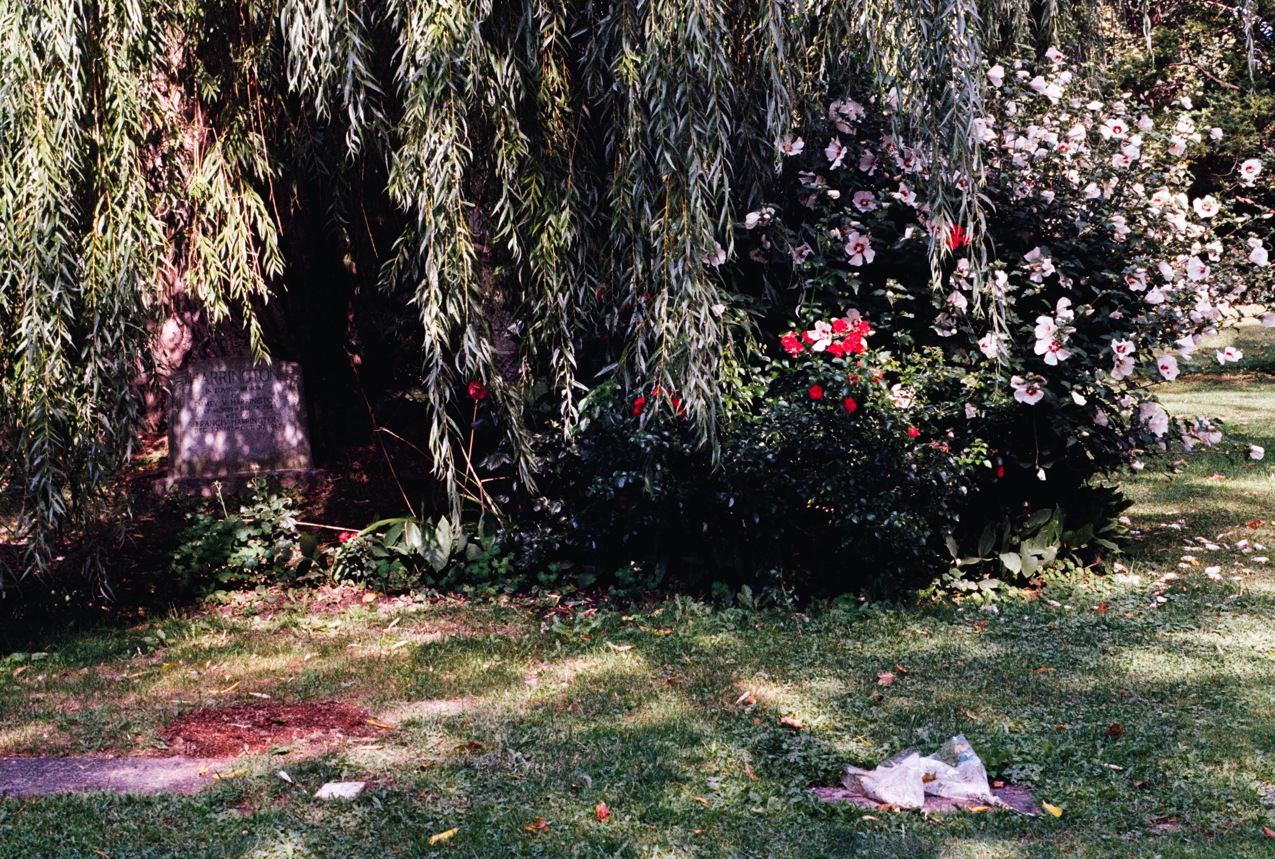 19 Aug35mm_7.jpg