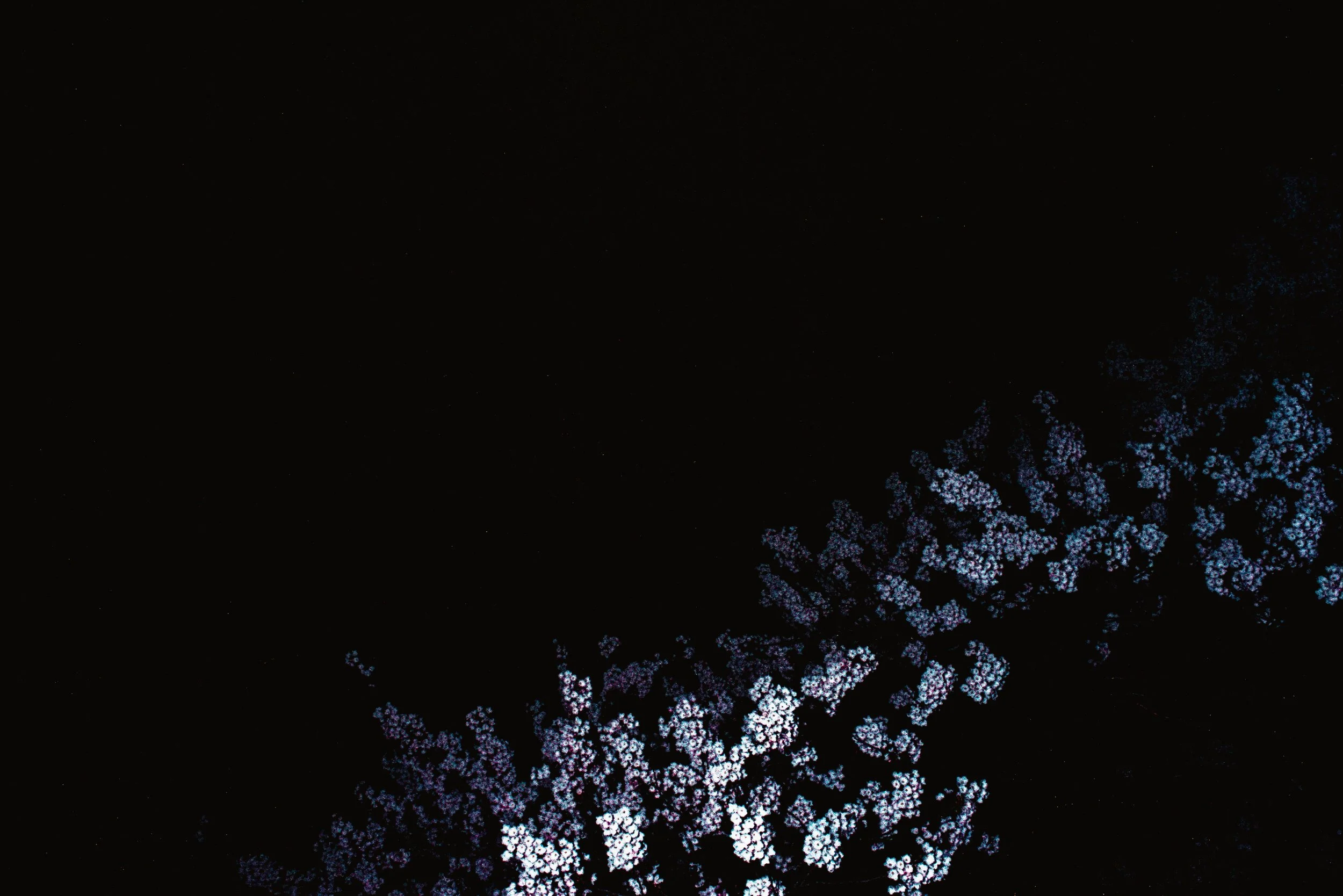 Image (22).jpg