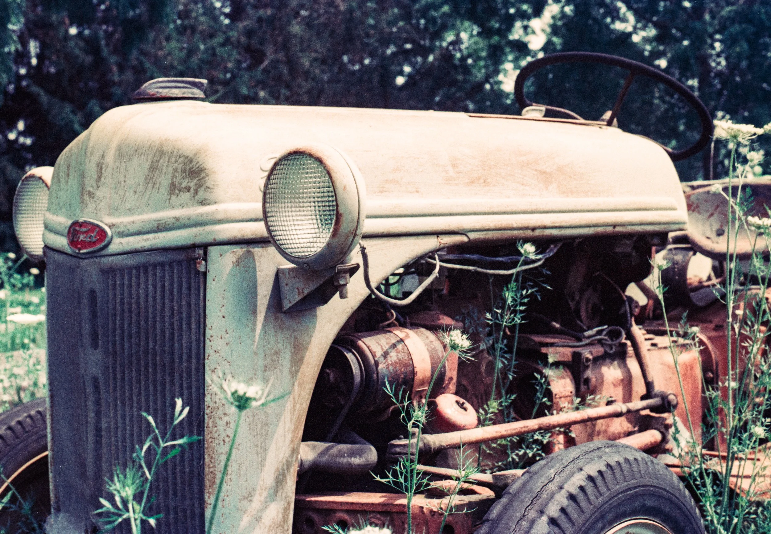 Image (13).jpg