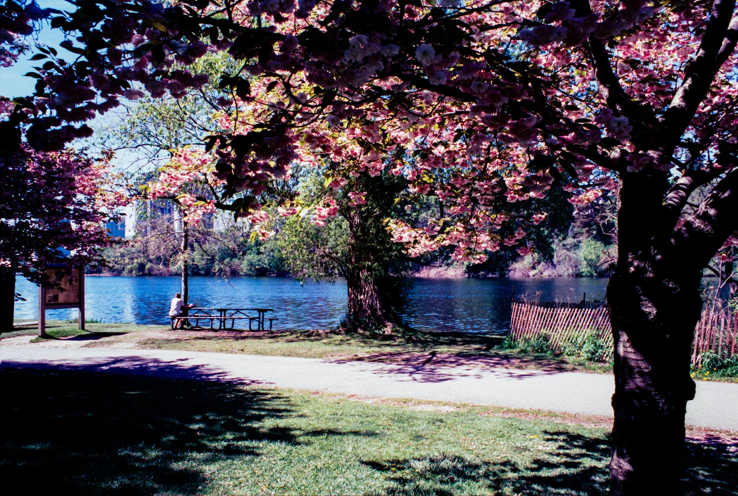 Image (17).jpg