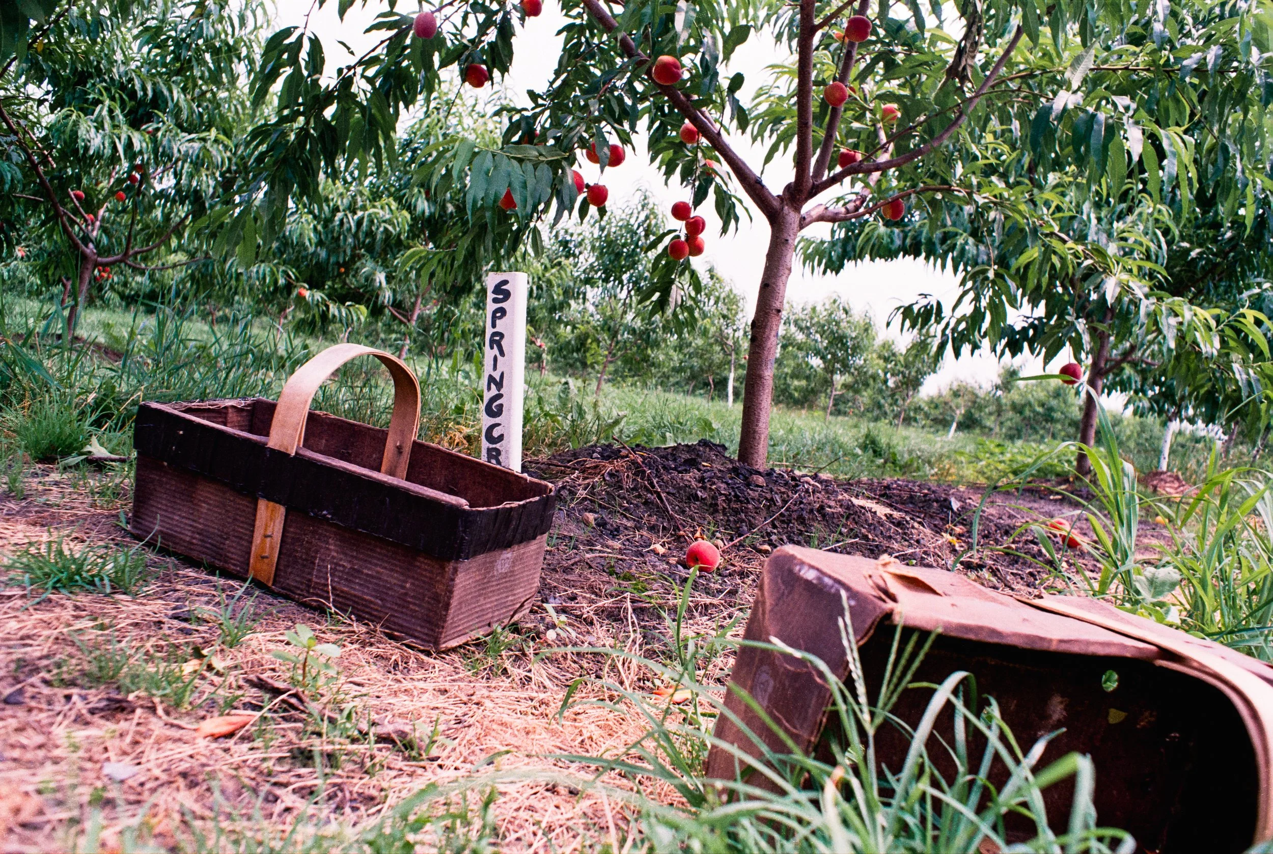 Image (15).jpg