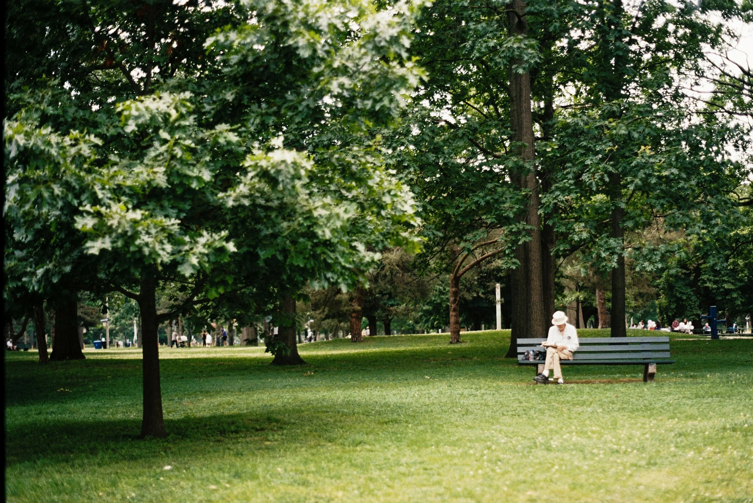 7 june35mm142.jpg