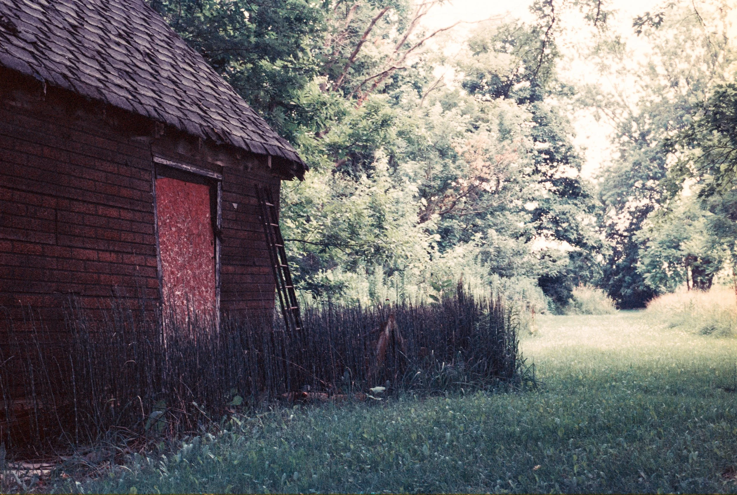 Image (15).jpg