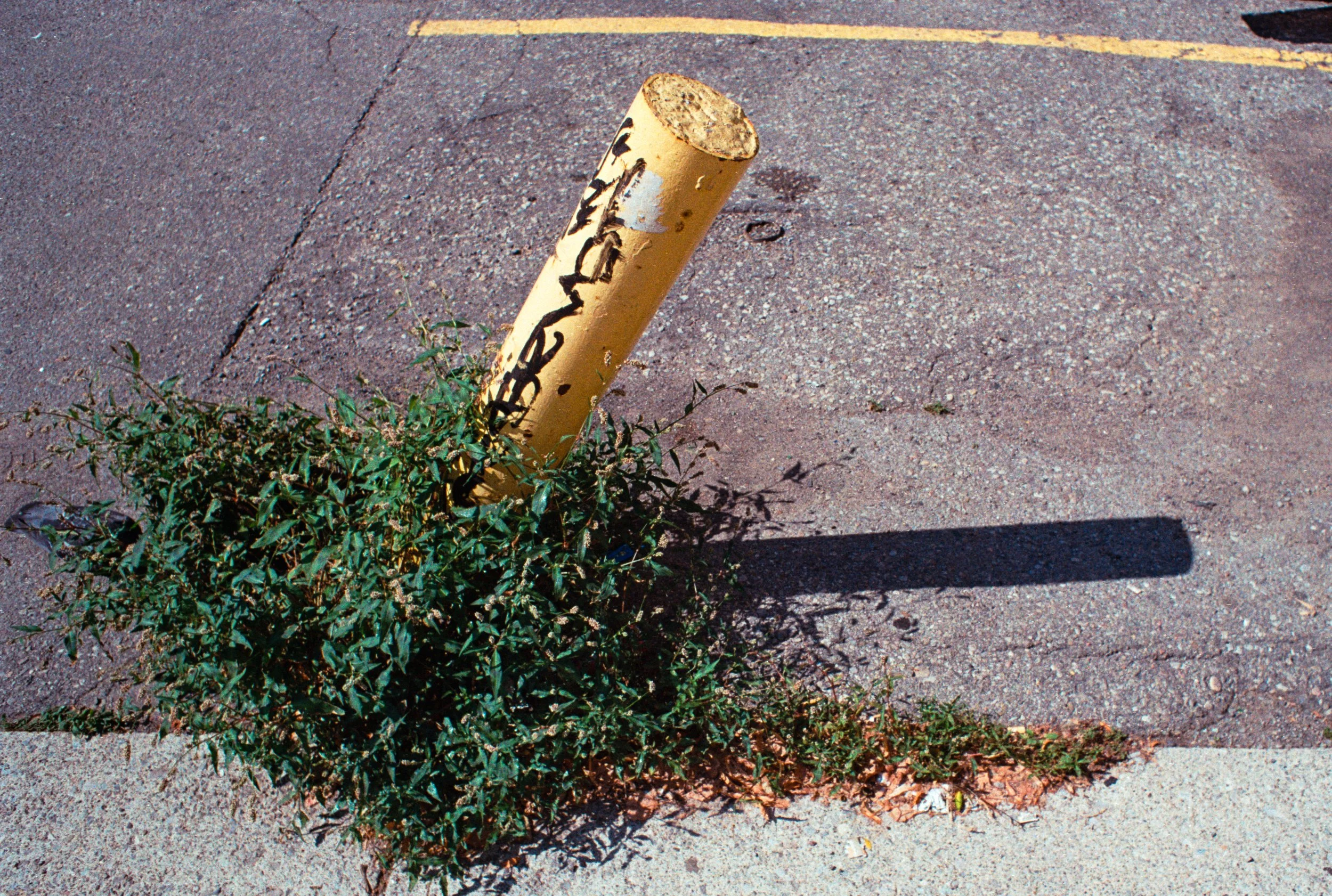4 Aug35mm_10.jpg