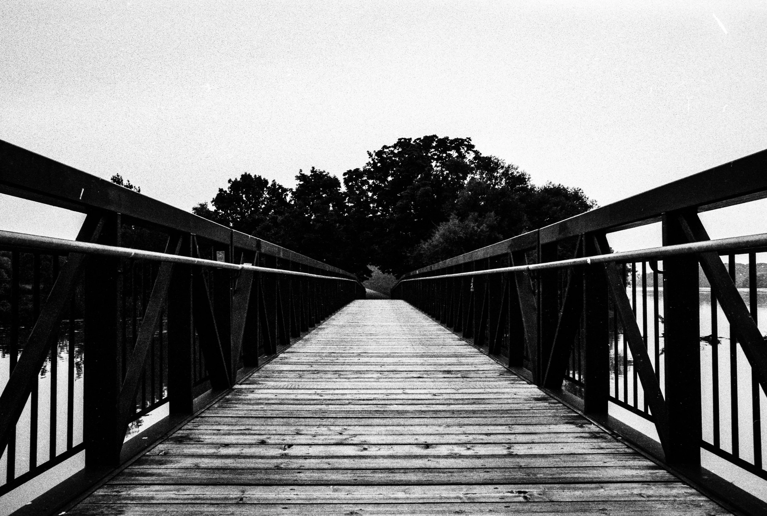 Image (11).jpg