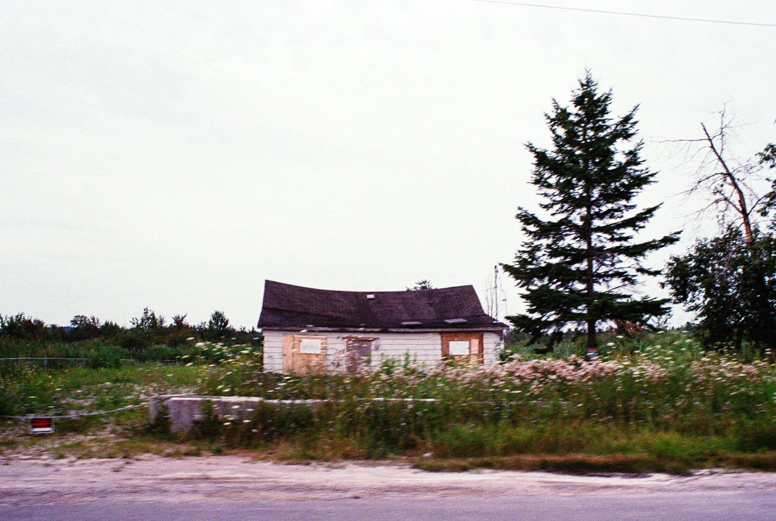 1 Aug35mm_2.jpg