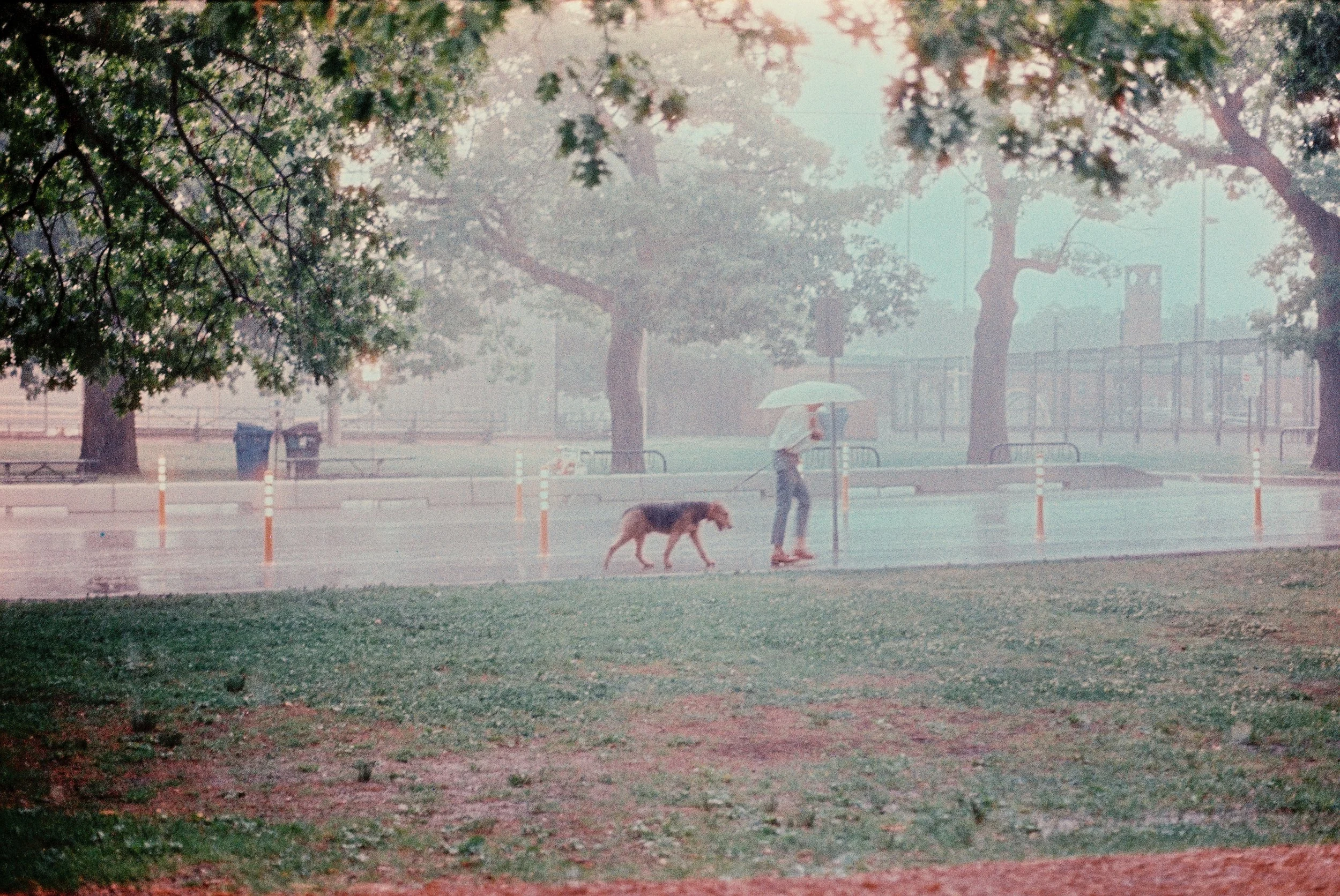 4 june35mm54.jpg
