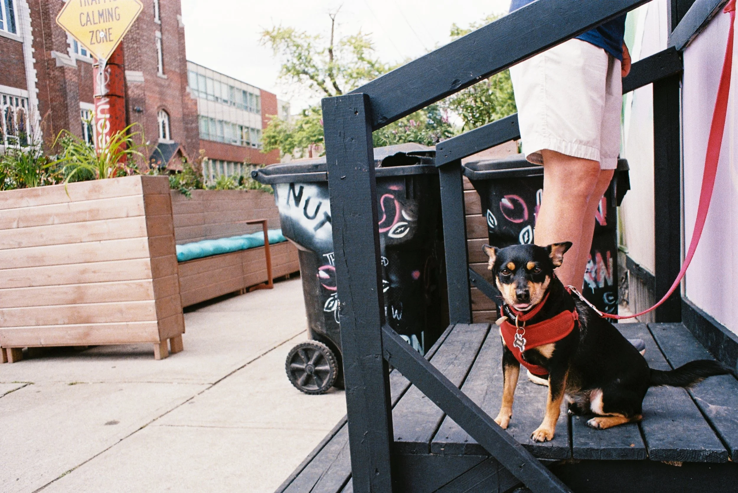13 July35mm3.jpg